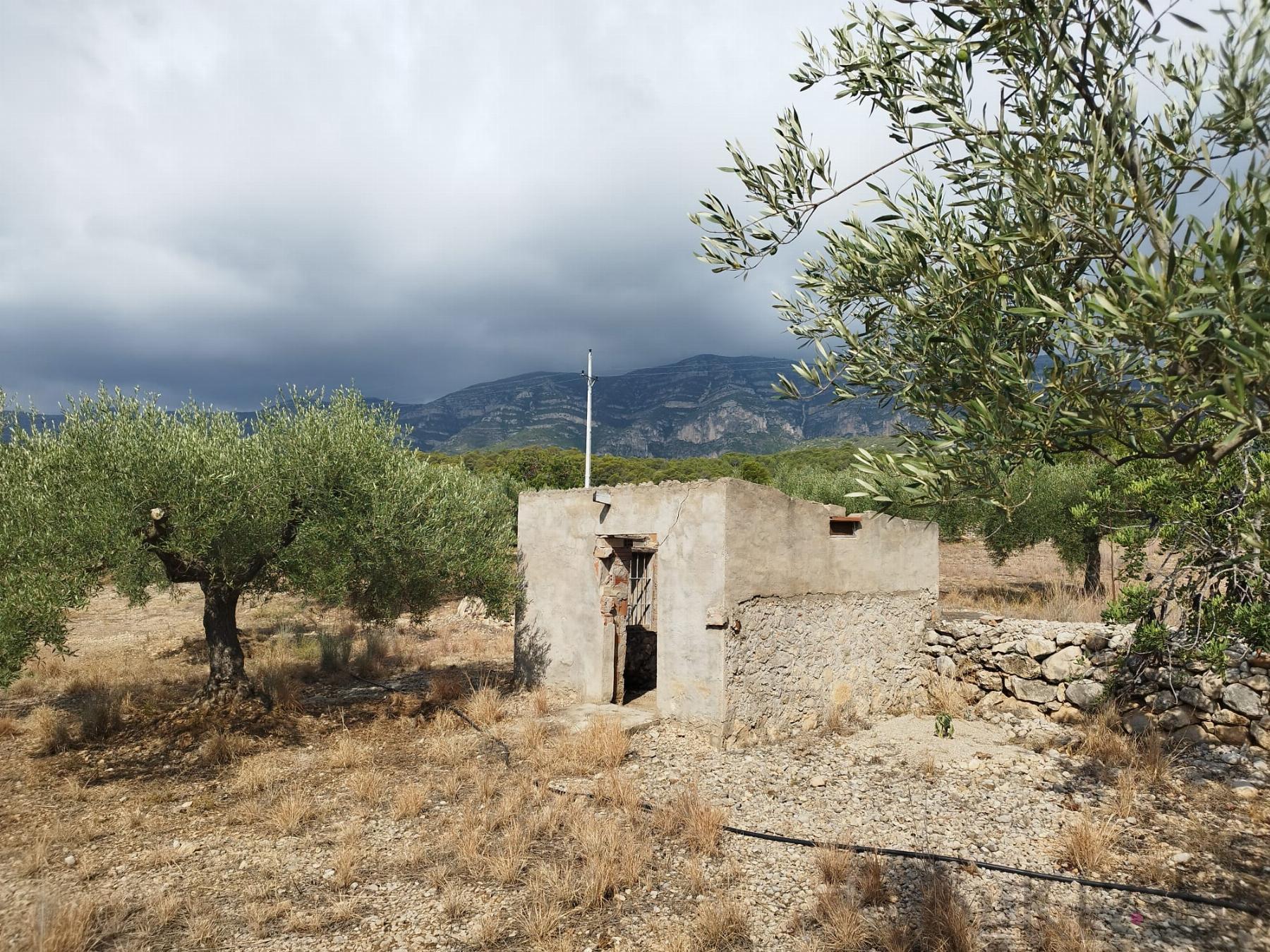 Venta de finca rústica en La Ràpita