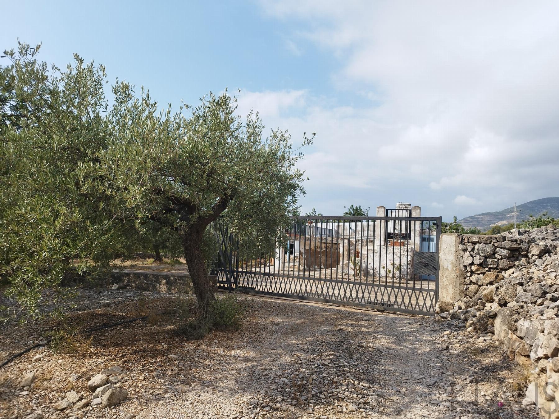 Venta de finca rústica en La Ràpita