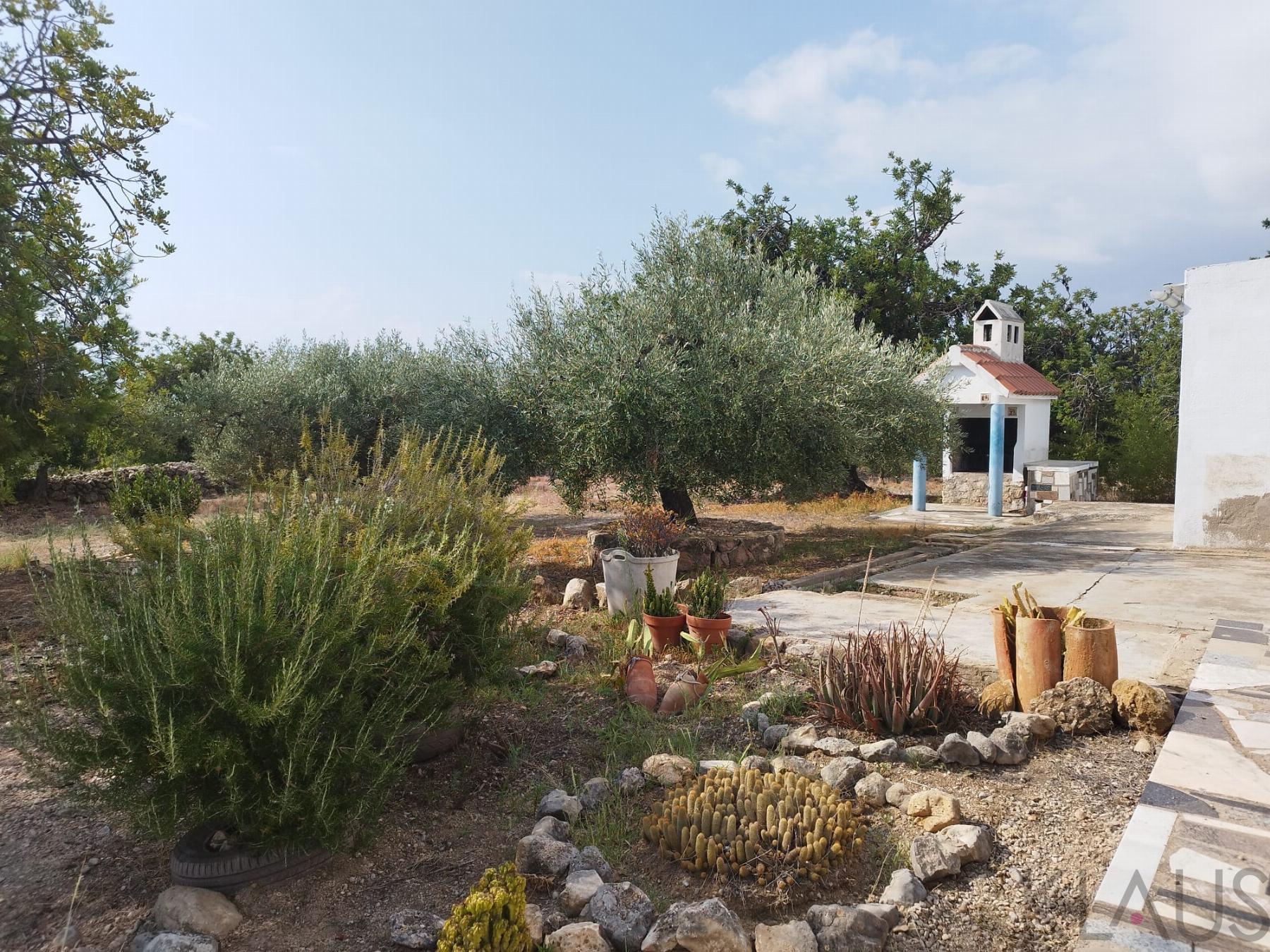 Venta de finca rústica en La Ràpita