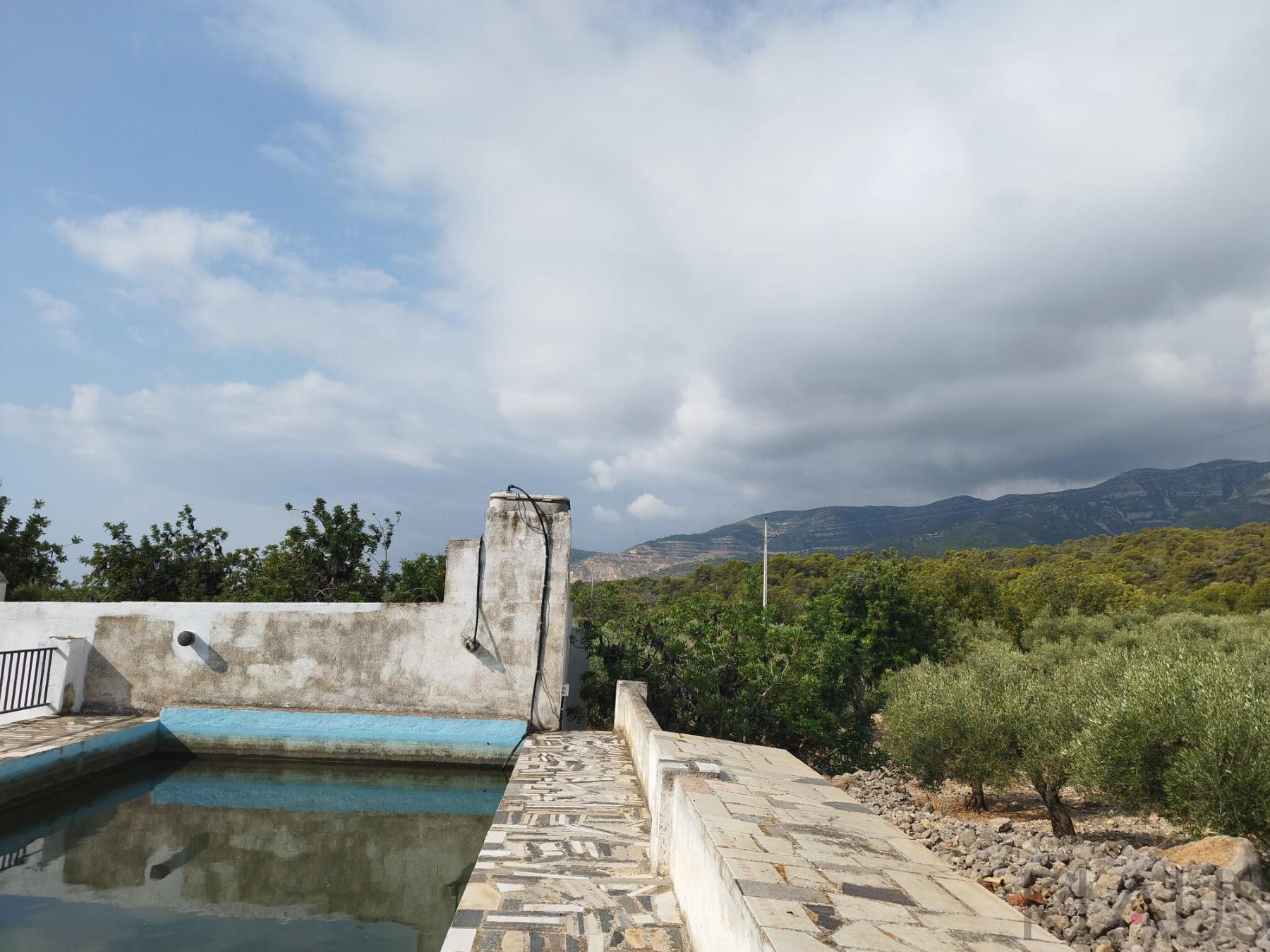 Venta de finca rústica en La Ràpita
