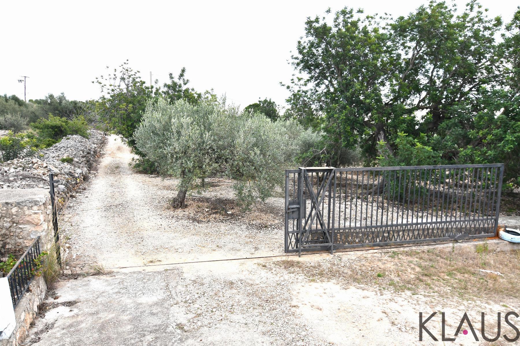 Venta de finca rústica en Alcanar