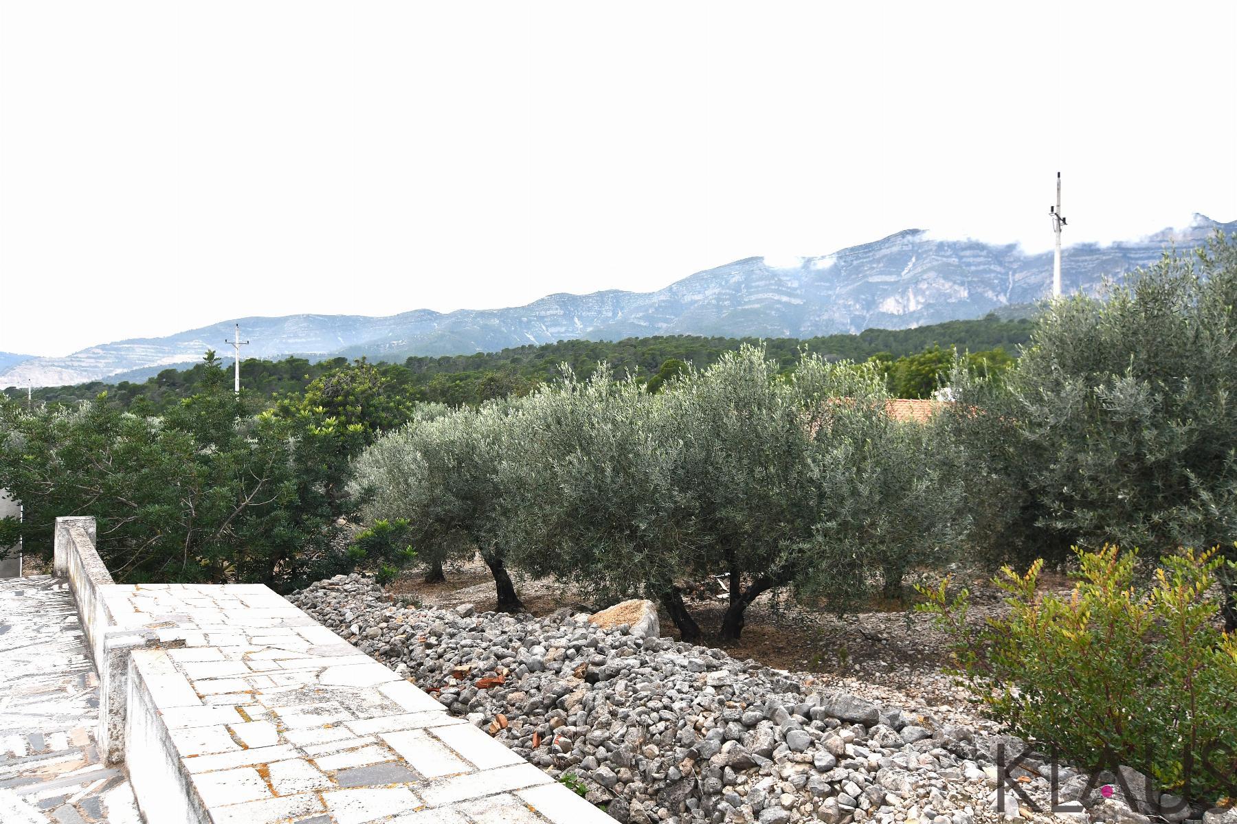 Venta de finca rústica en Alcanar