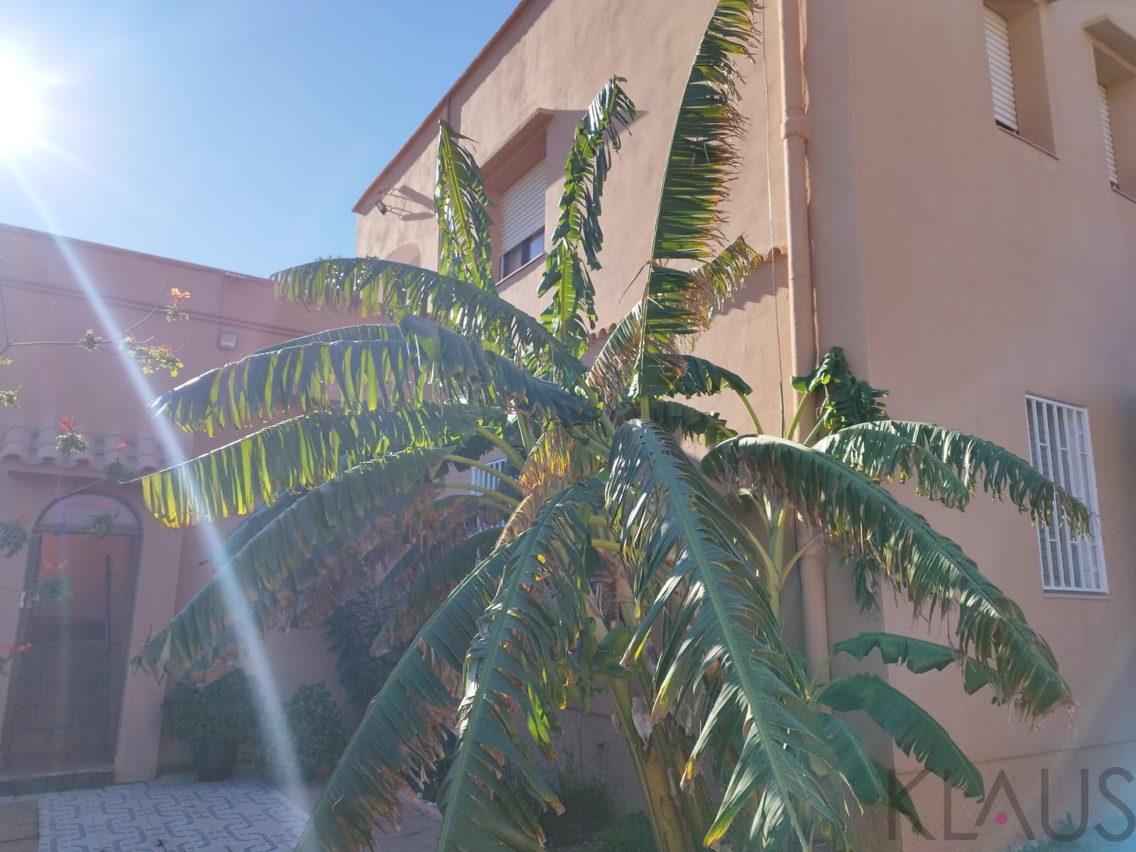 Venta de piso en Alcanar playa