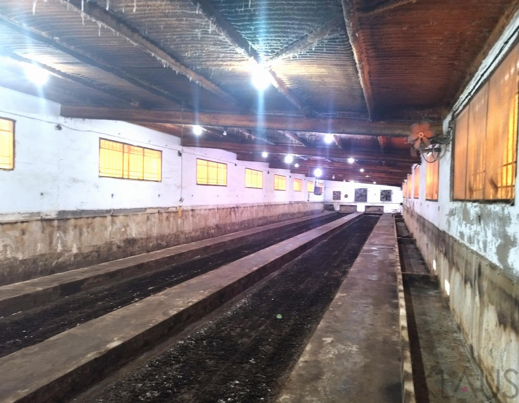 For sale of rural property in Alcanar playa