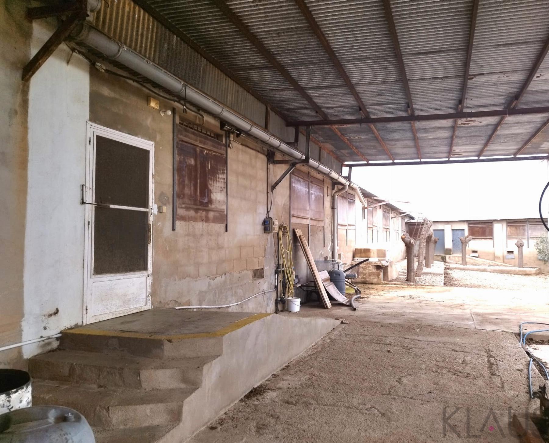 For sale of rural property in Alcanar playa