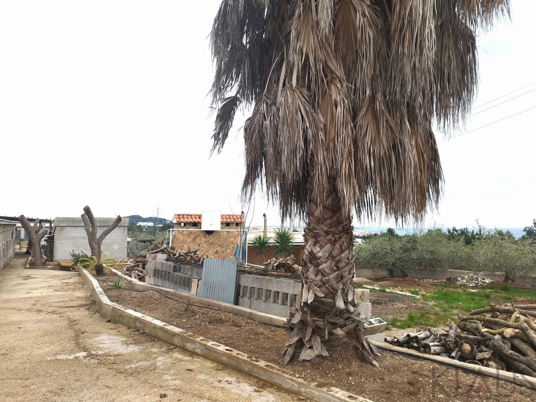 For sale of rural property in Alcanar playa