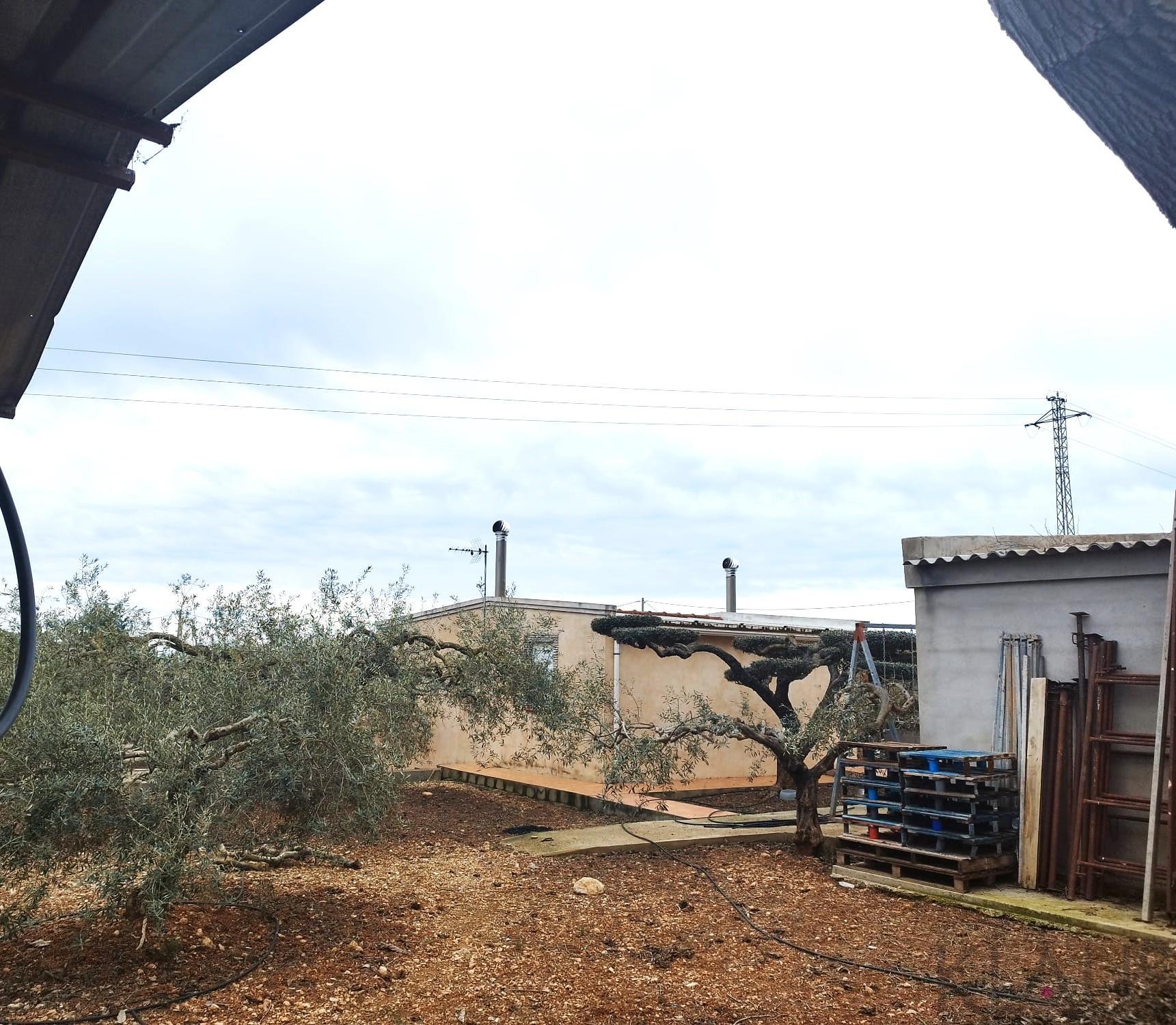 For sale of rural property in Alcanar playa