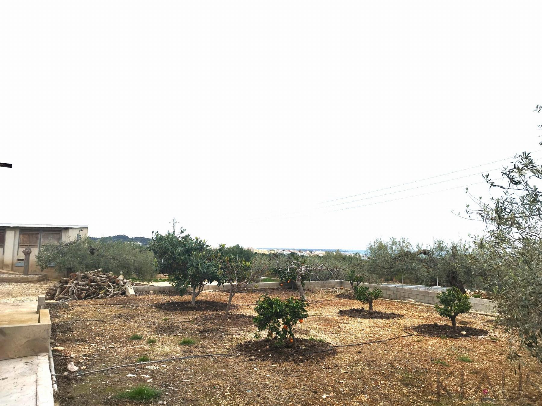 For sale of rural property in Alcanar playa