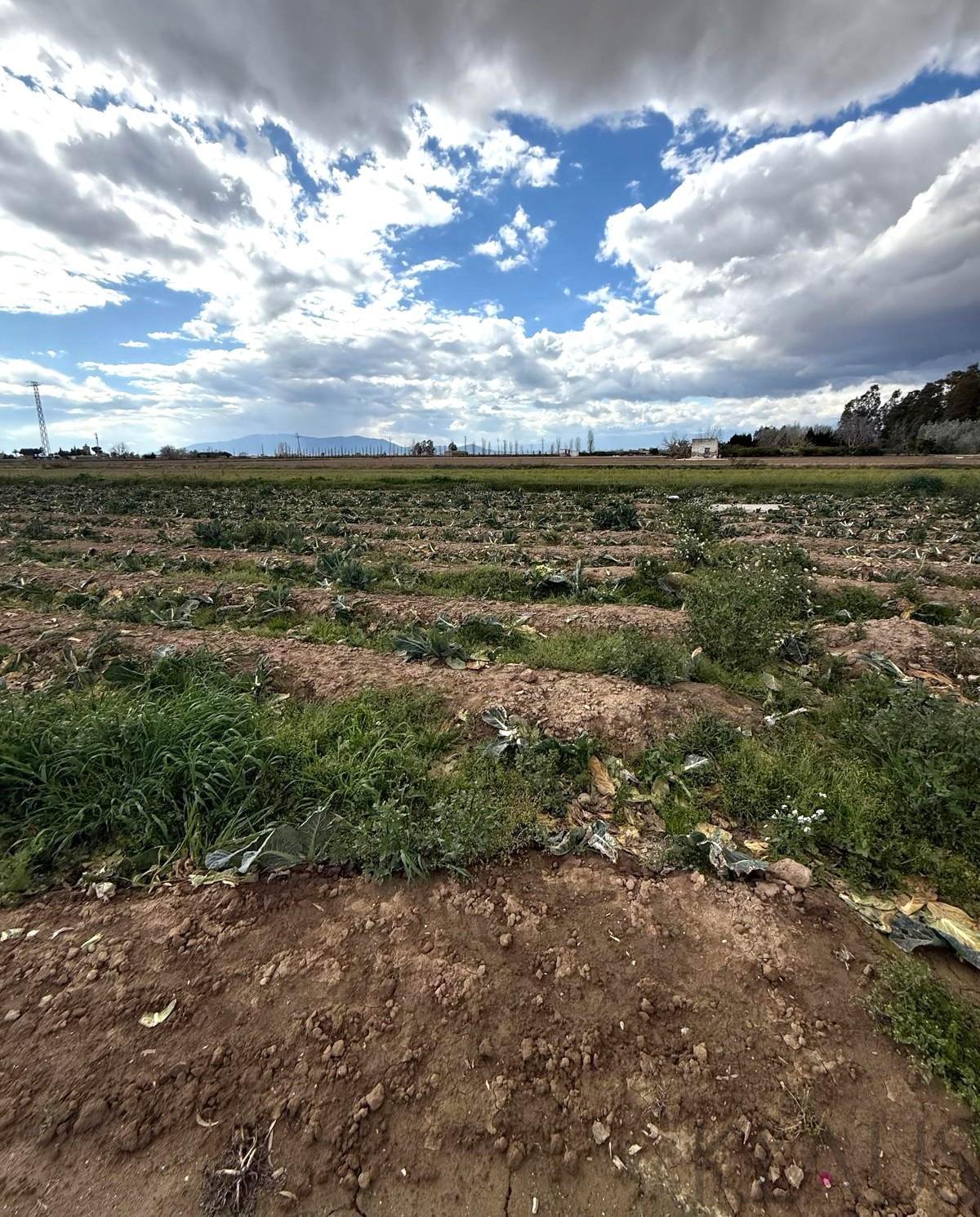 Ground