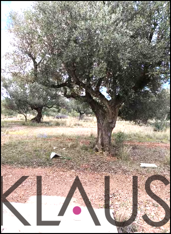 For sale of rural property in La Sénia