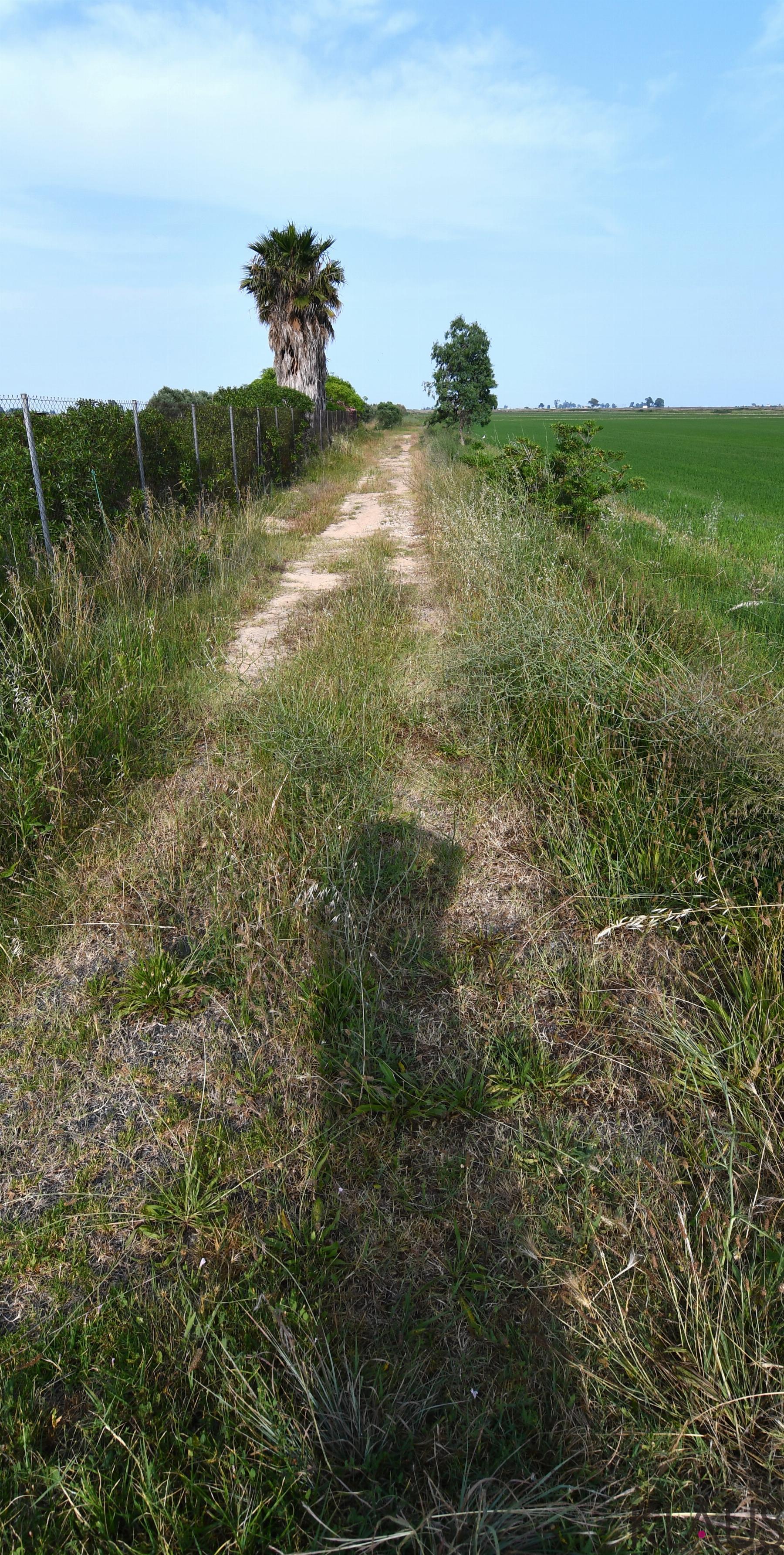 Venta de terreno en Amposta