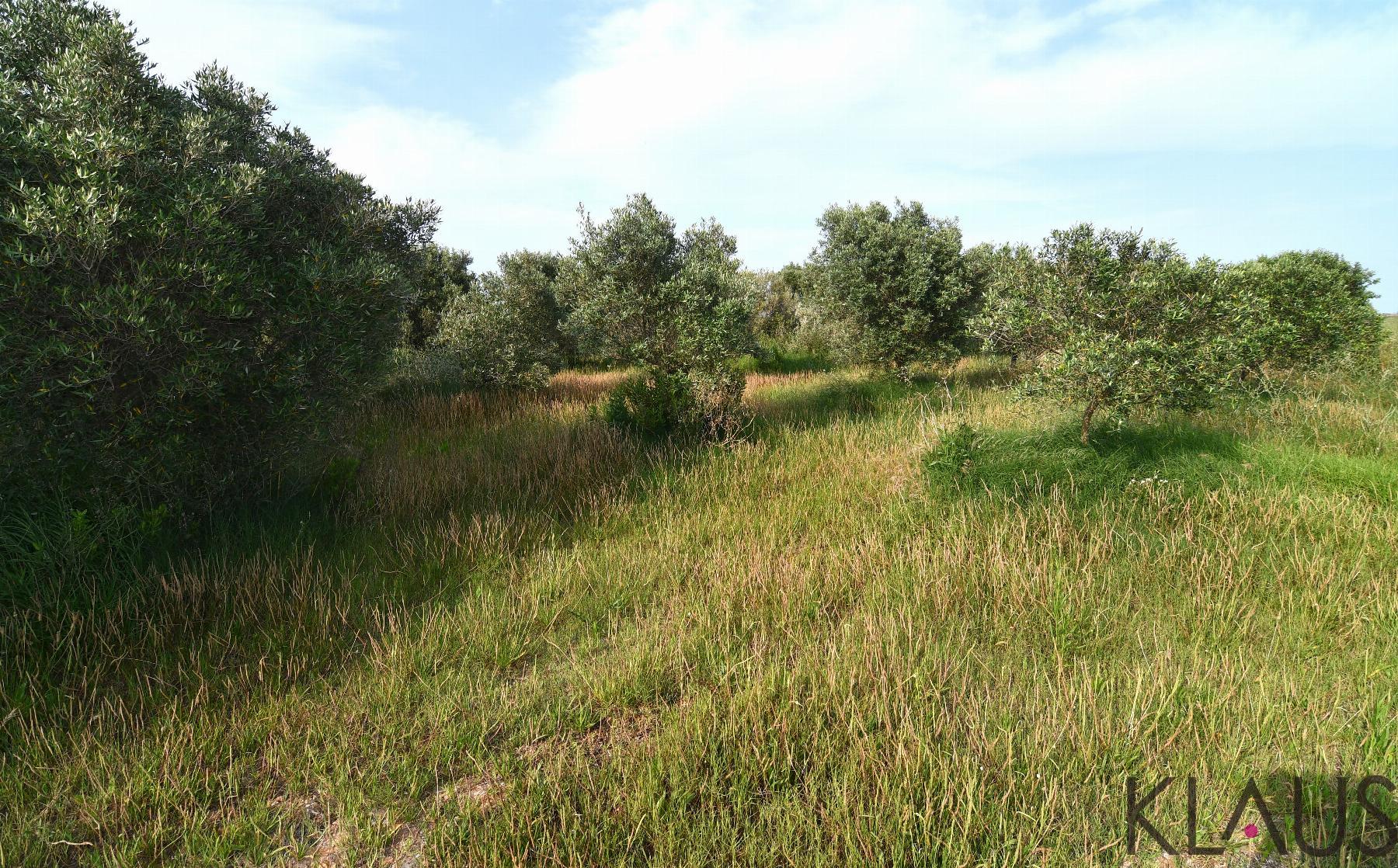 Venta de terreno en Amposta