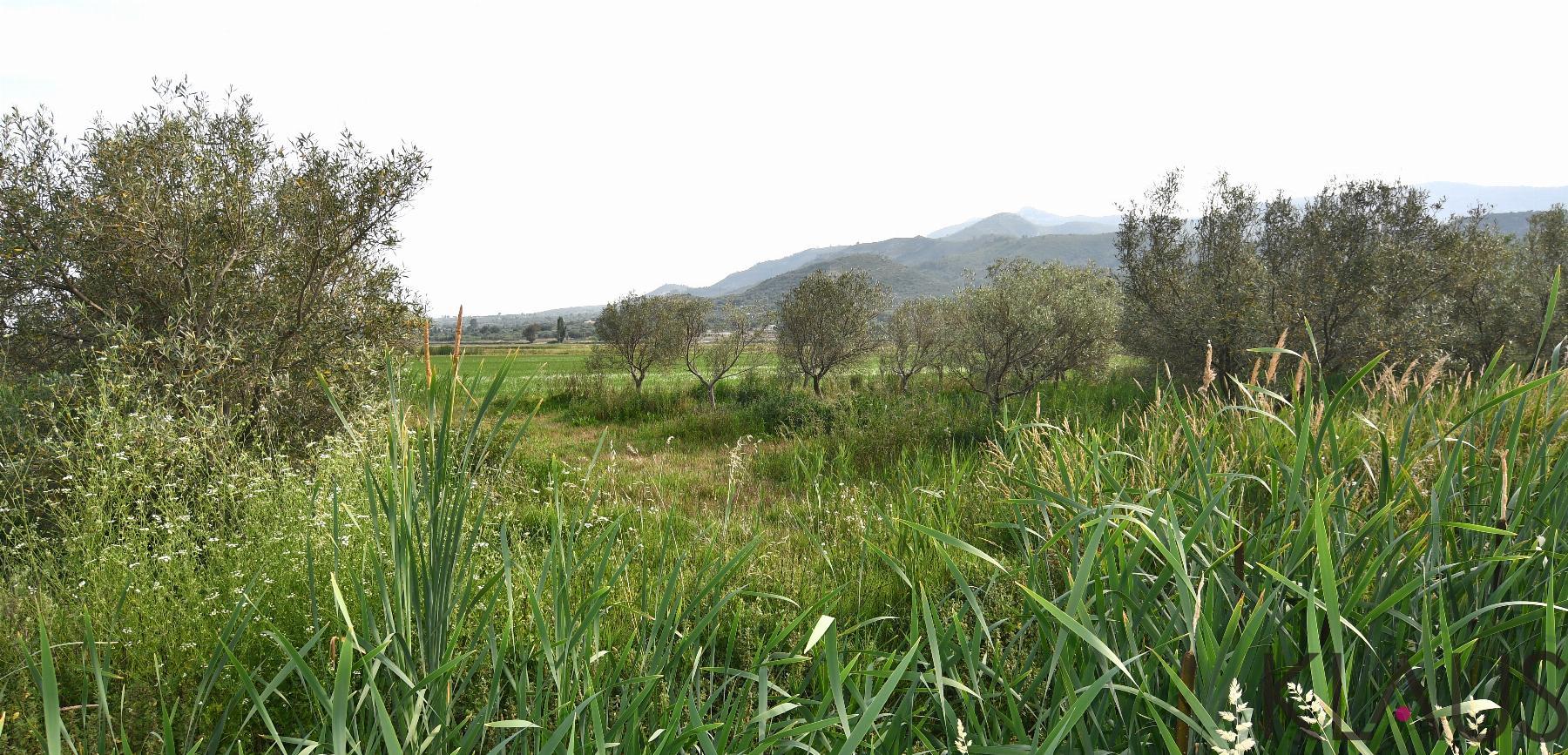 Venta de terreno en Amposta