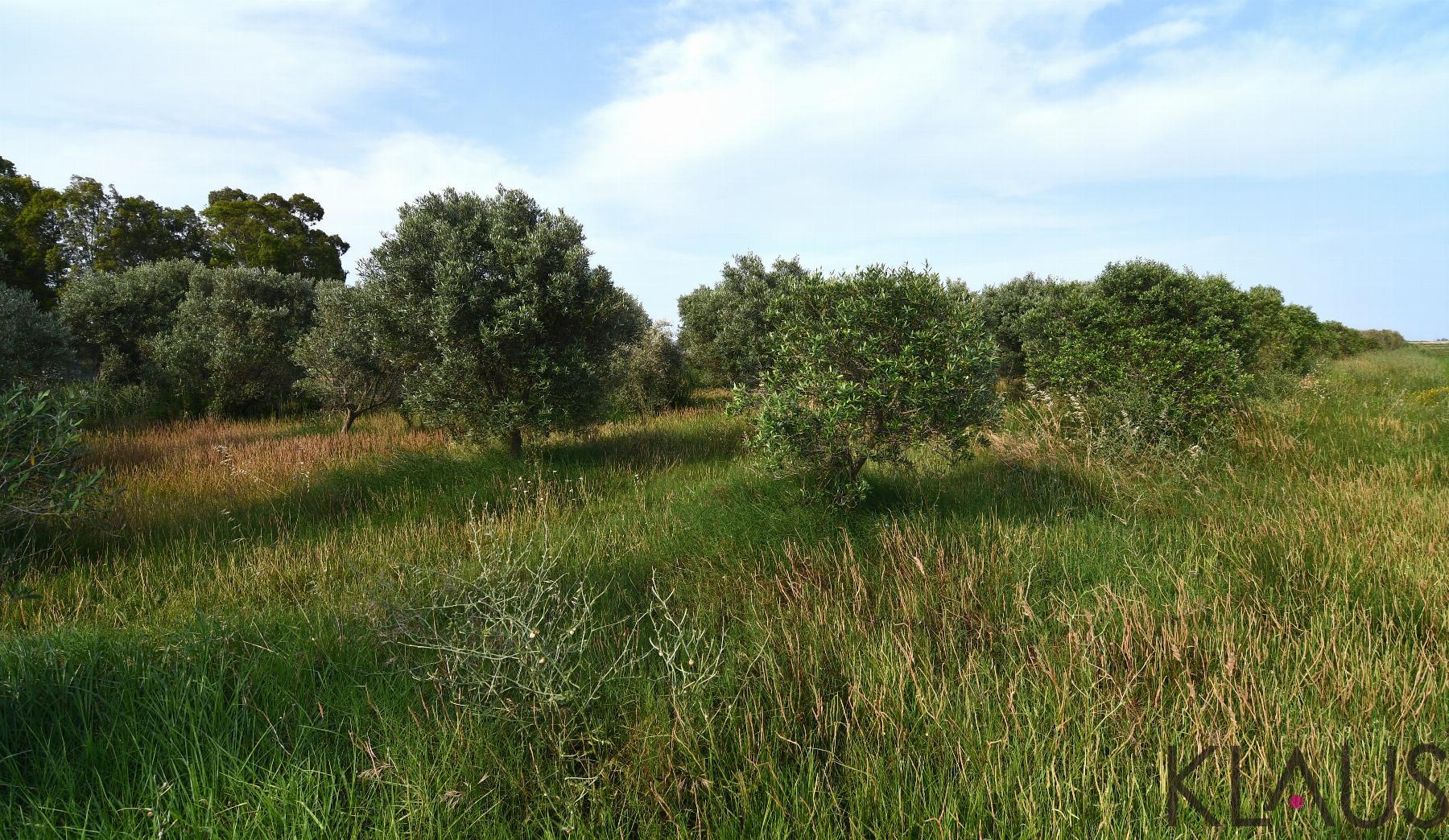 Venta de terreno en Amposta