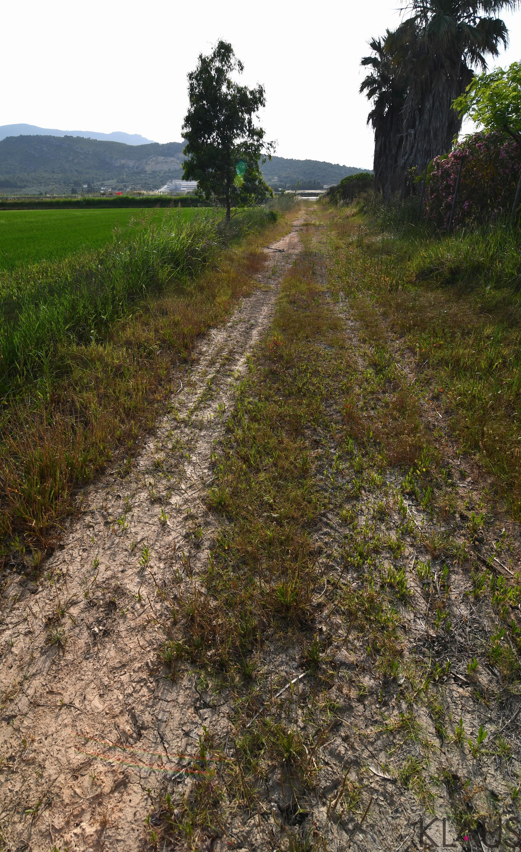 Venta de terreno en Amposta