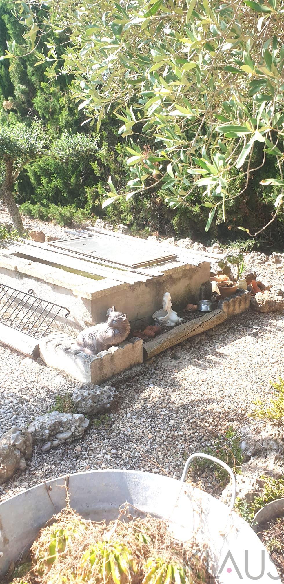 Venta de finca rústica en La Sénia