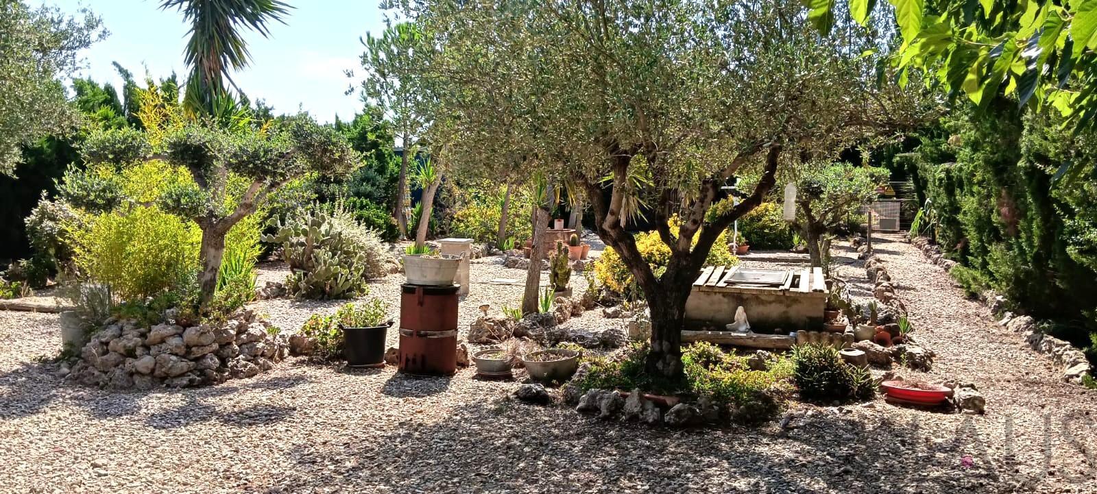 Venta de finca rústica en La Sénia