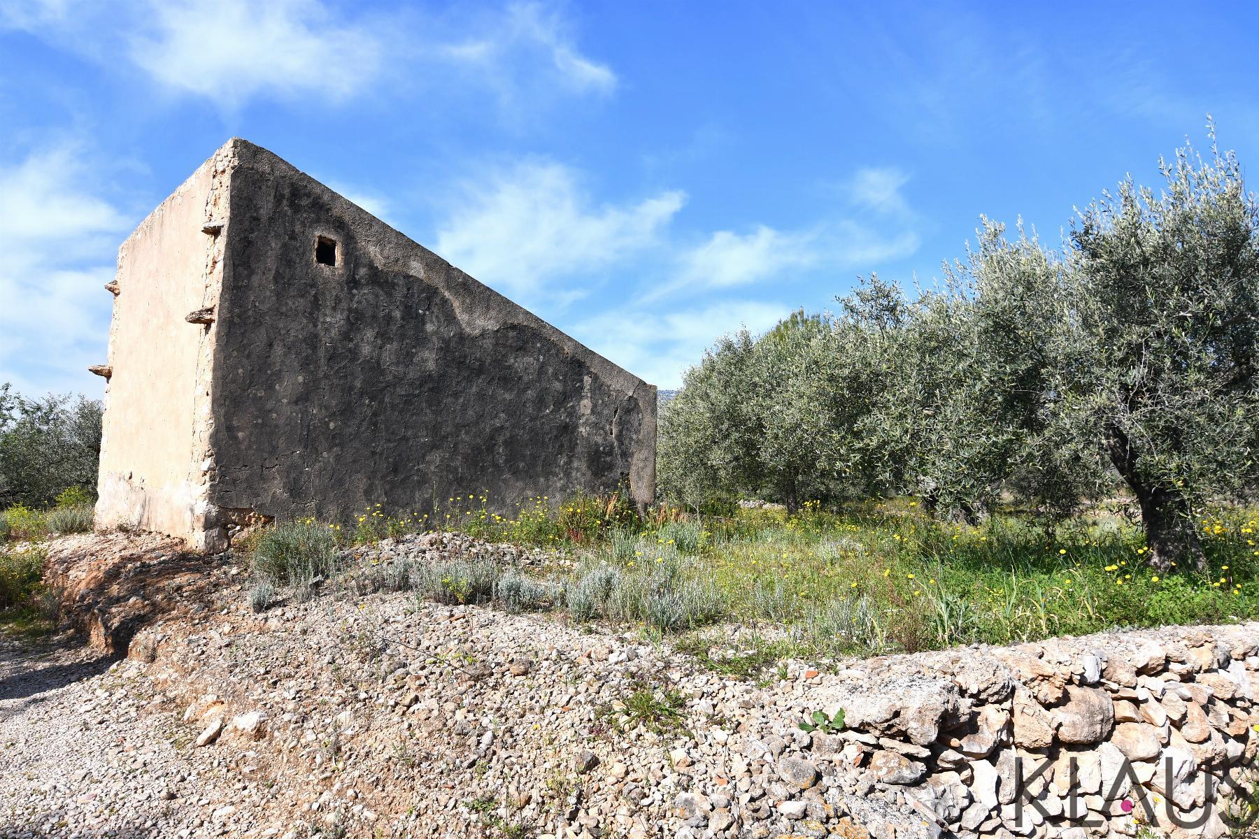 Venta de finca rústica en La Ràpita