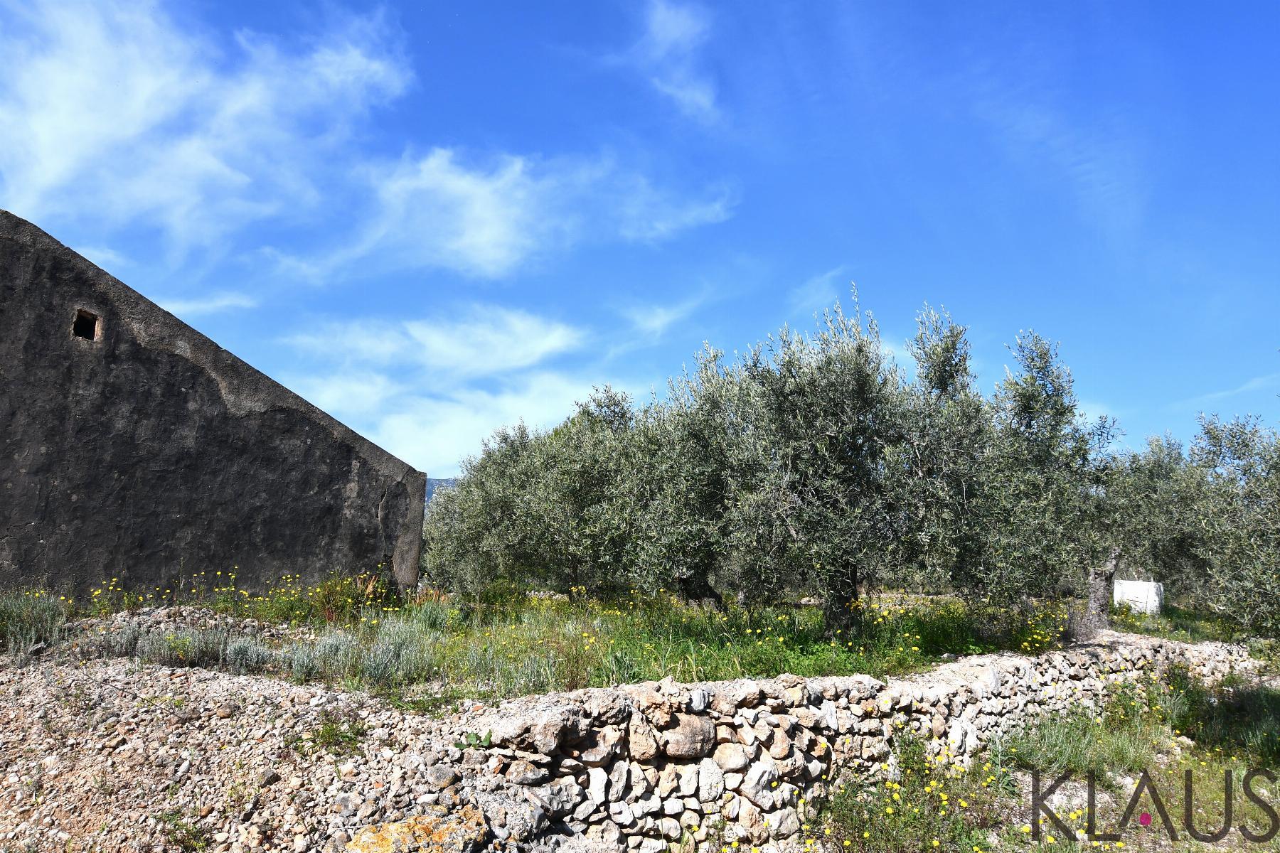 Venta de finca rústica en La Ràpita