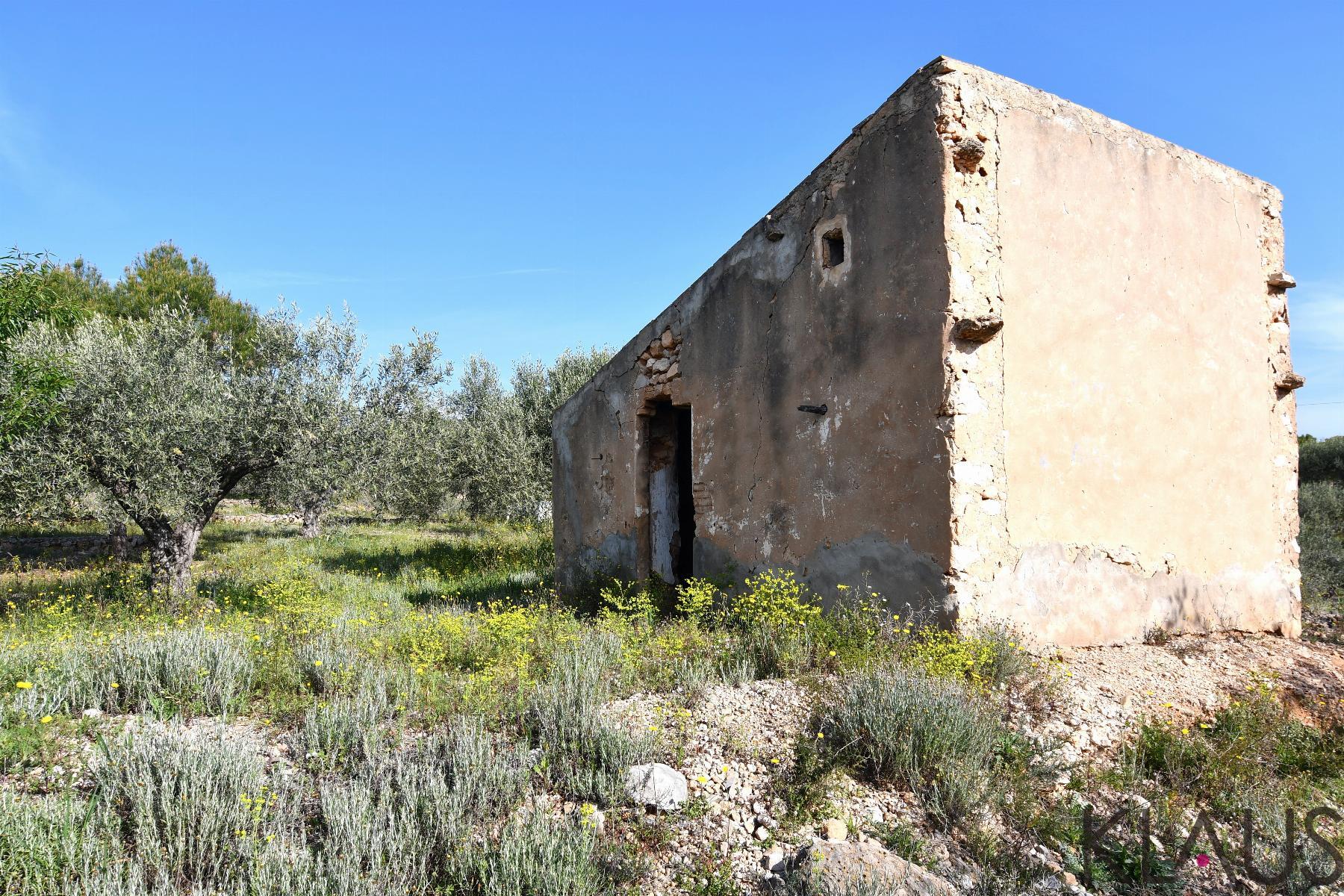 Venta de finca rústica en La Ràpita
