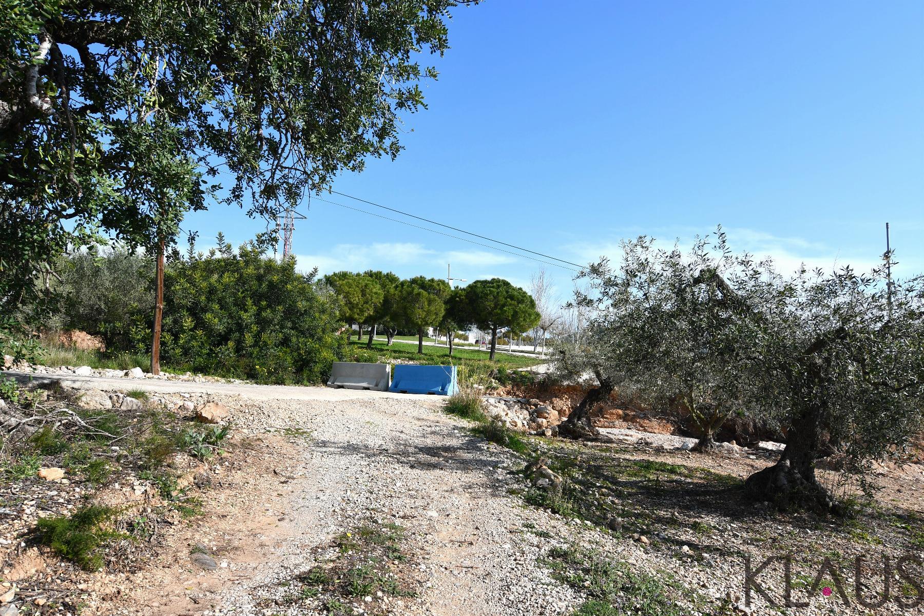 Venta de finca rústica en La Ràpita