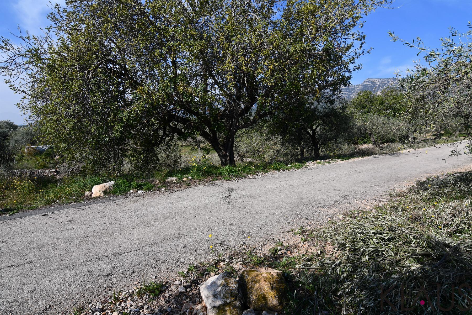 Venta de finca rústica en La Ràpita