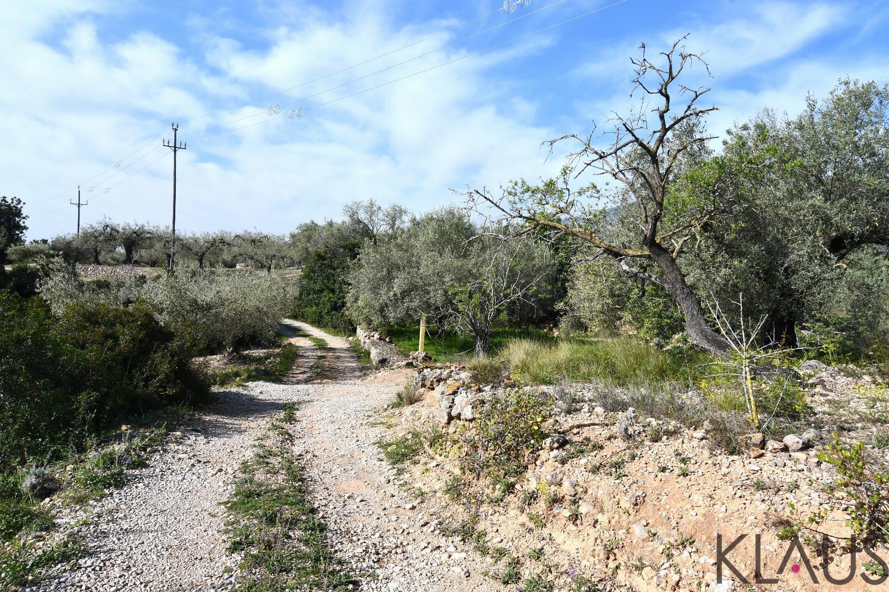 Venta de finca rústica en La Ràpita