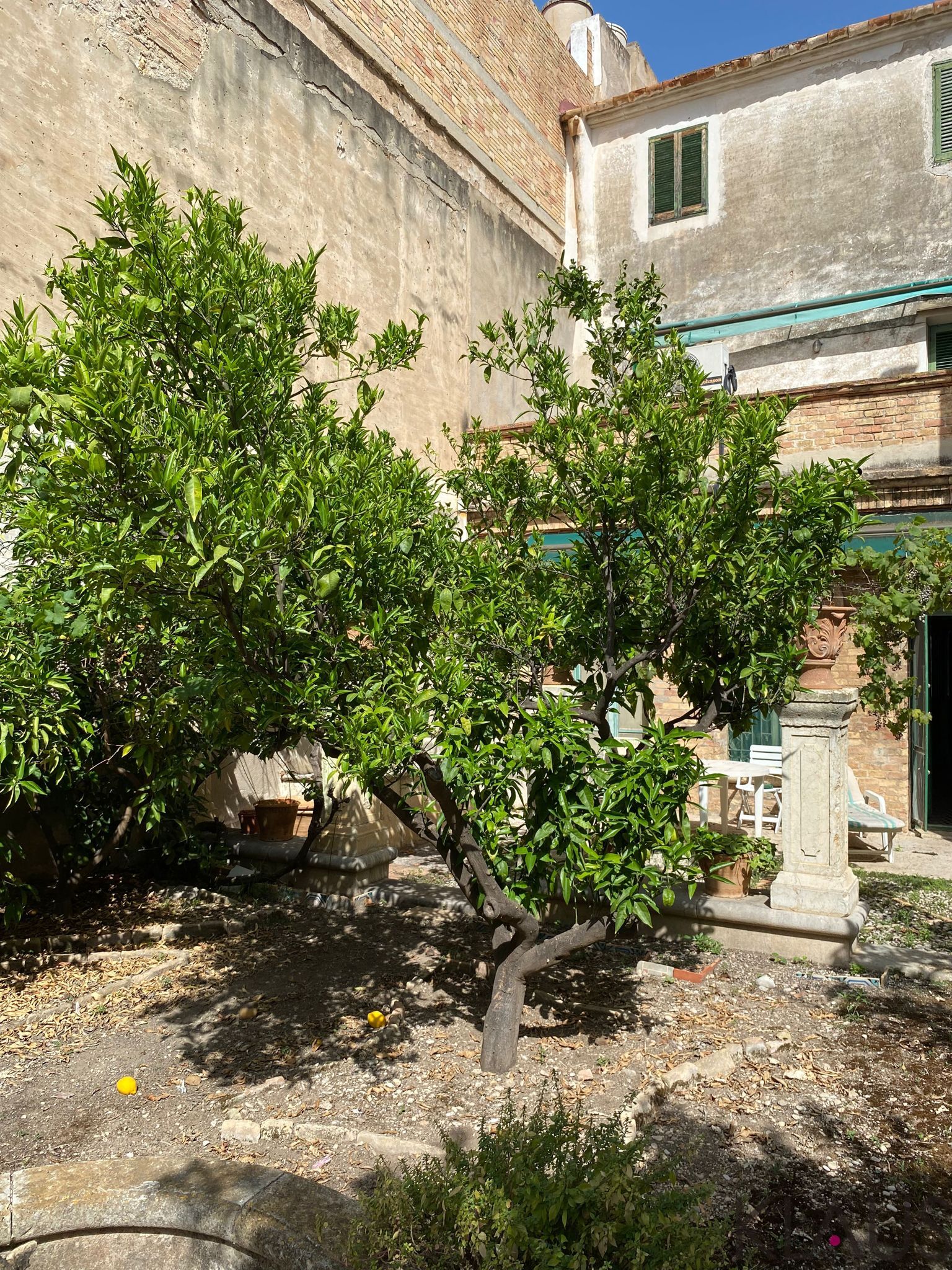 Venta de casa en La Ràpita
