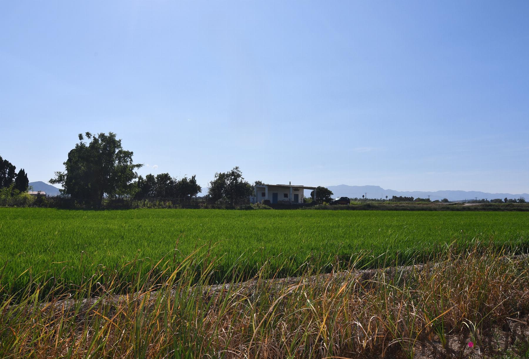 Venta de terreno en Amposta