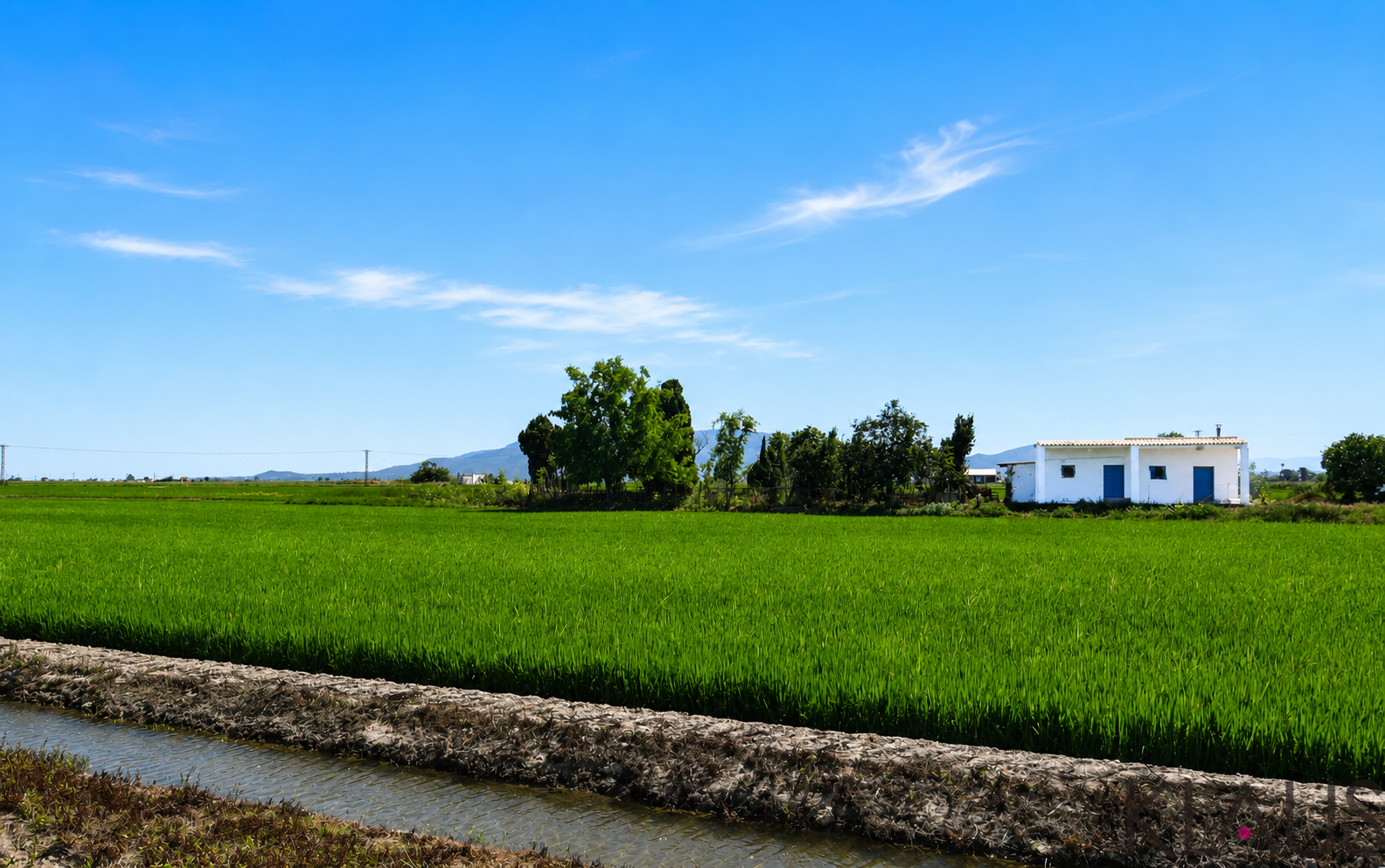 Venta de terreno en Amposta