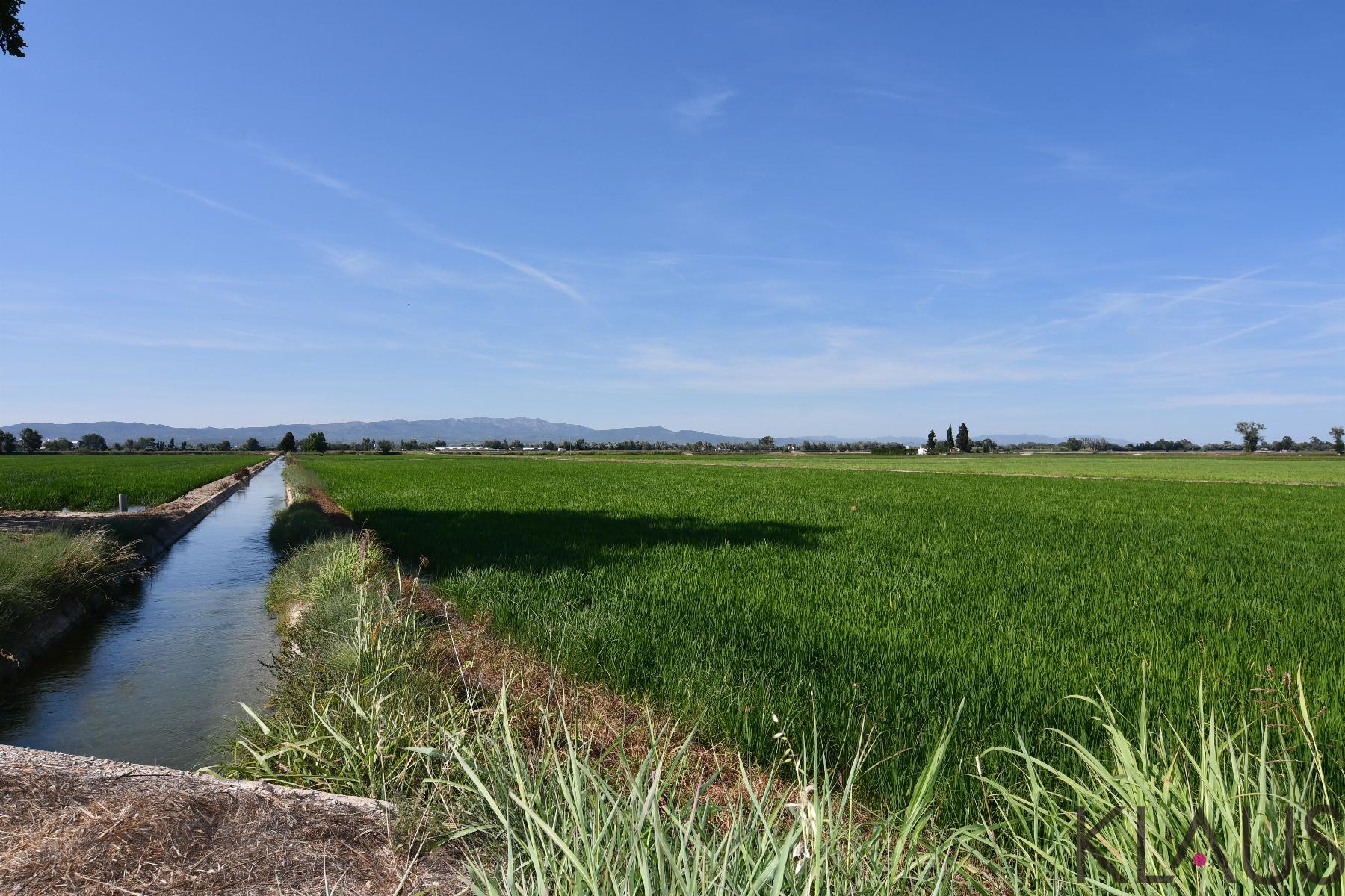 Venta de terreno en Amposta