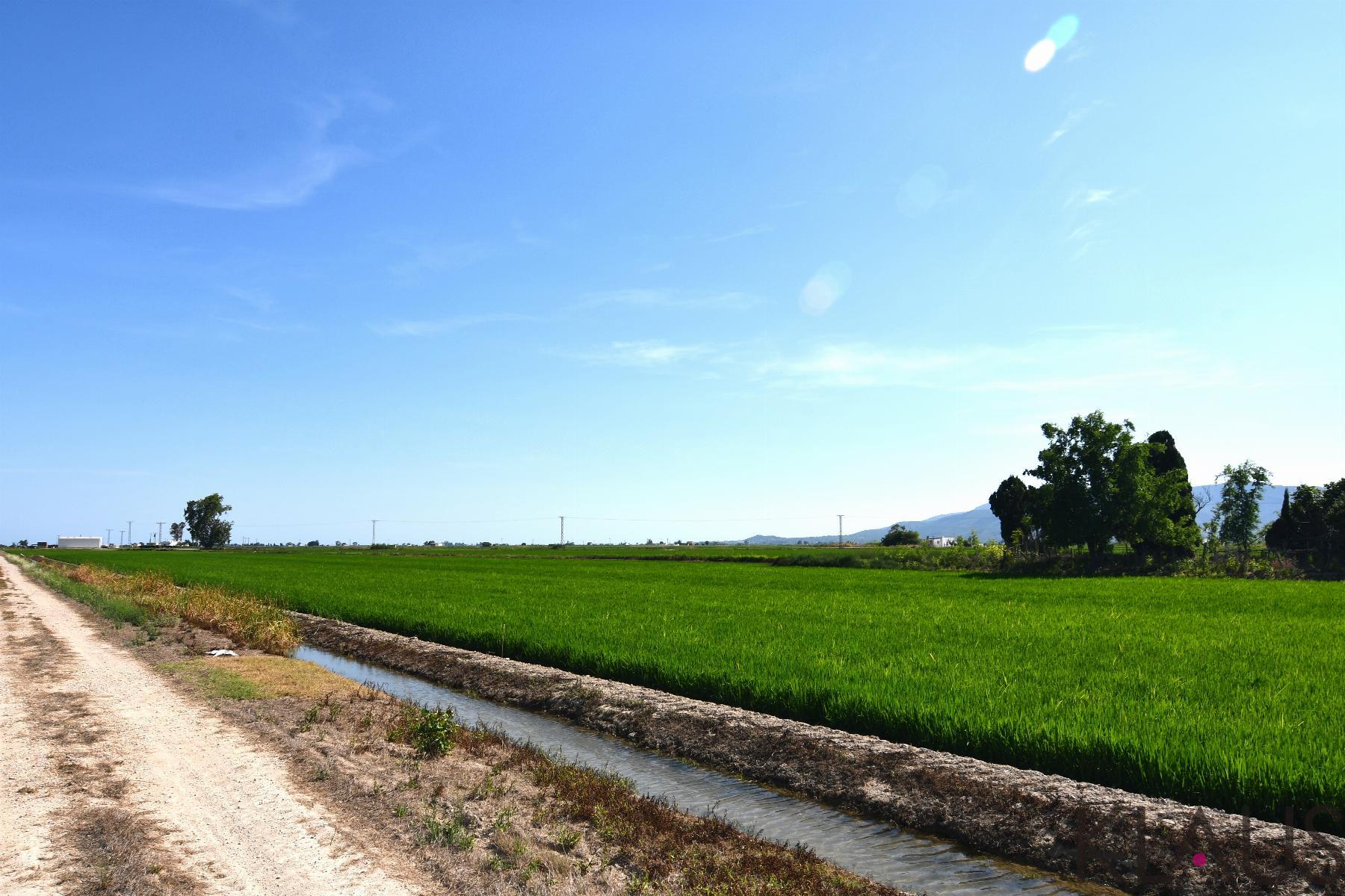 Venta de terreno en Amposta