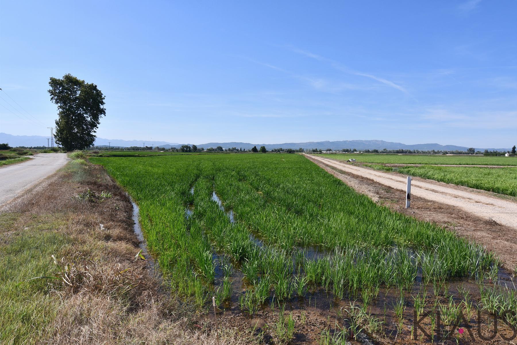 Venta de terreno en Amposta