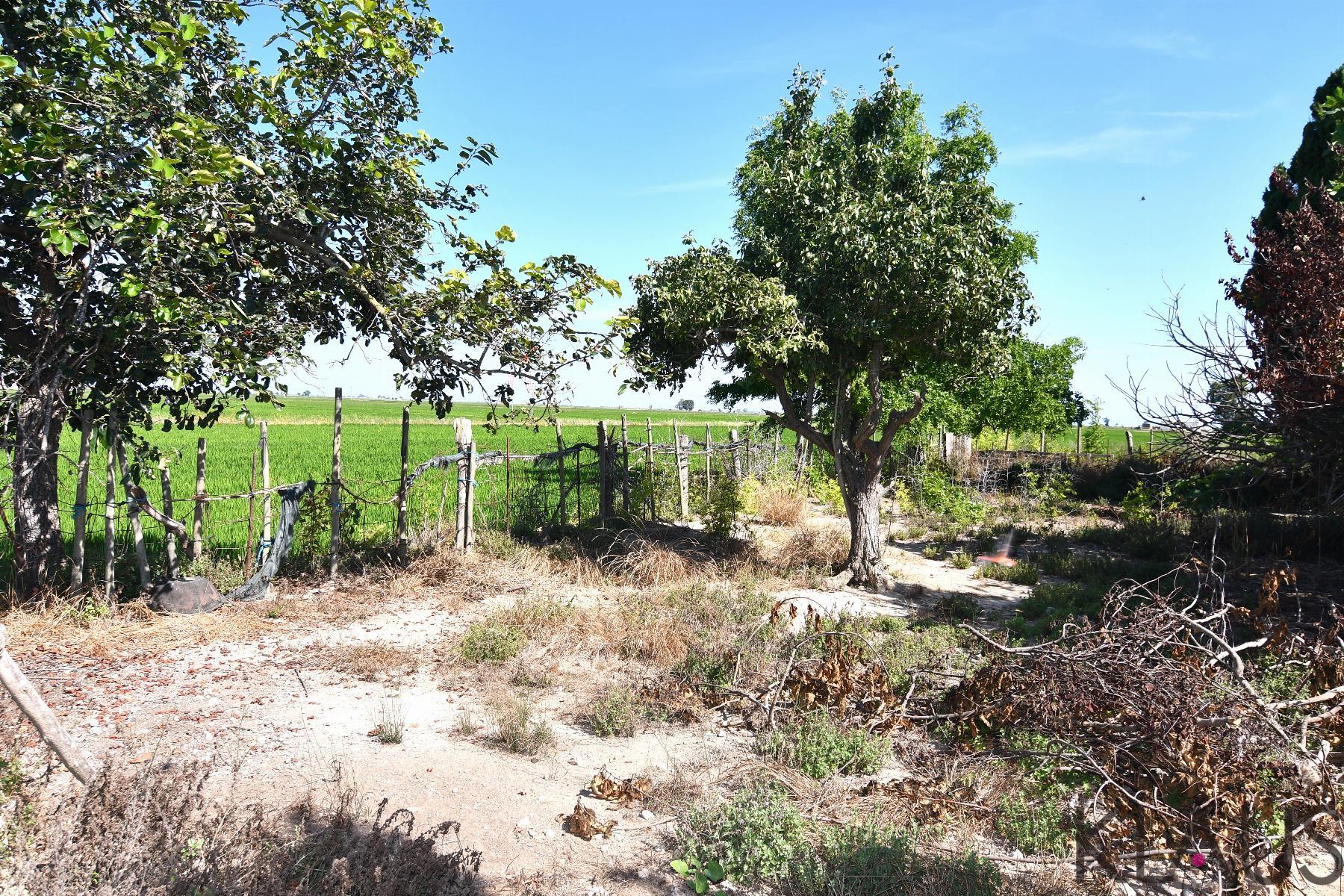 Venta de terreno en Amposta