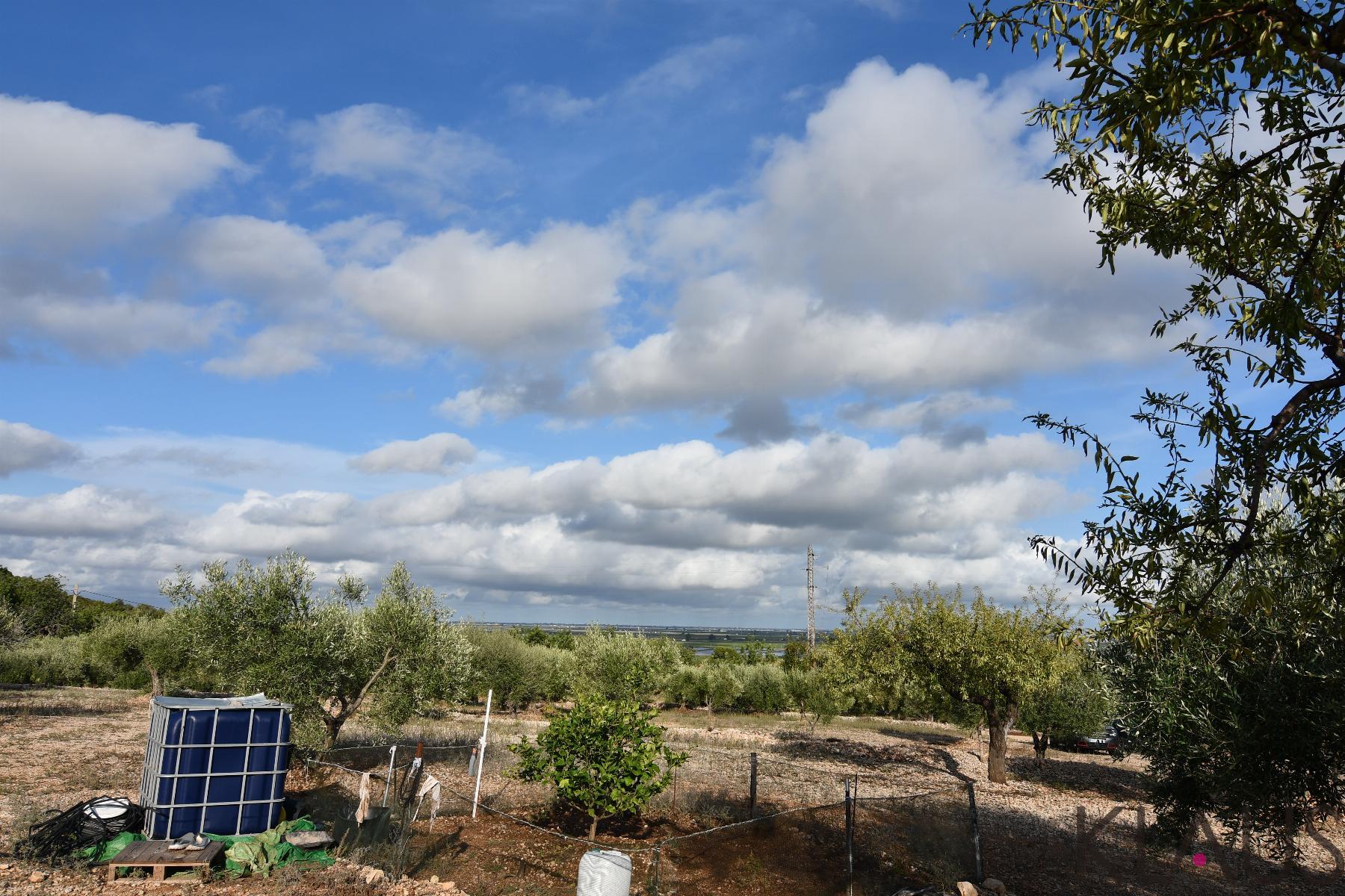 Venta de terreno en Amposta