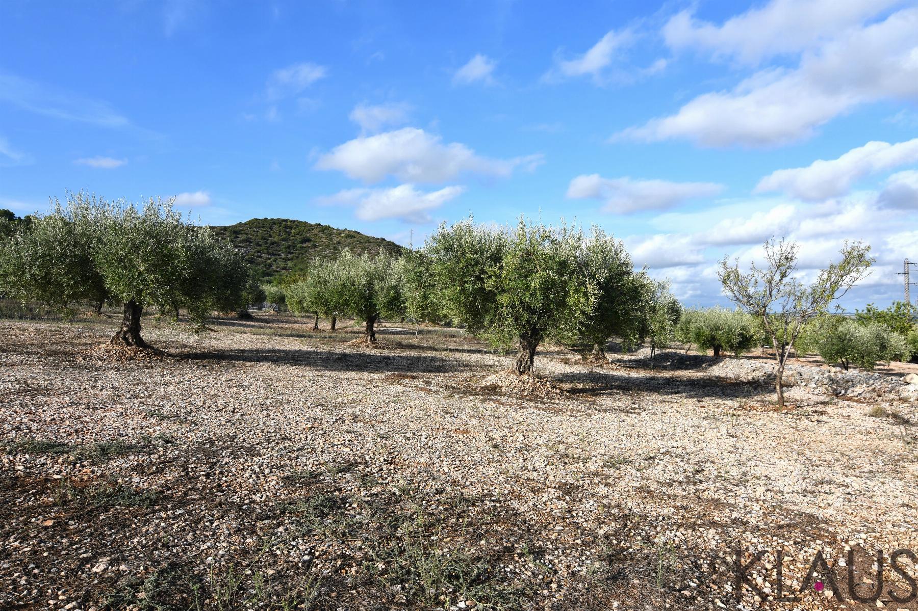 Venta de terreno en Amposta