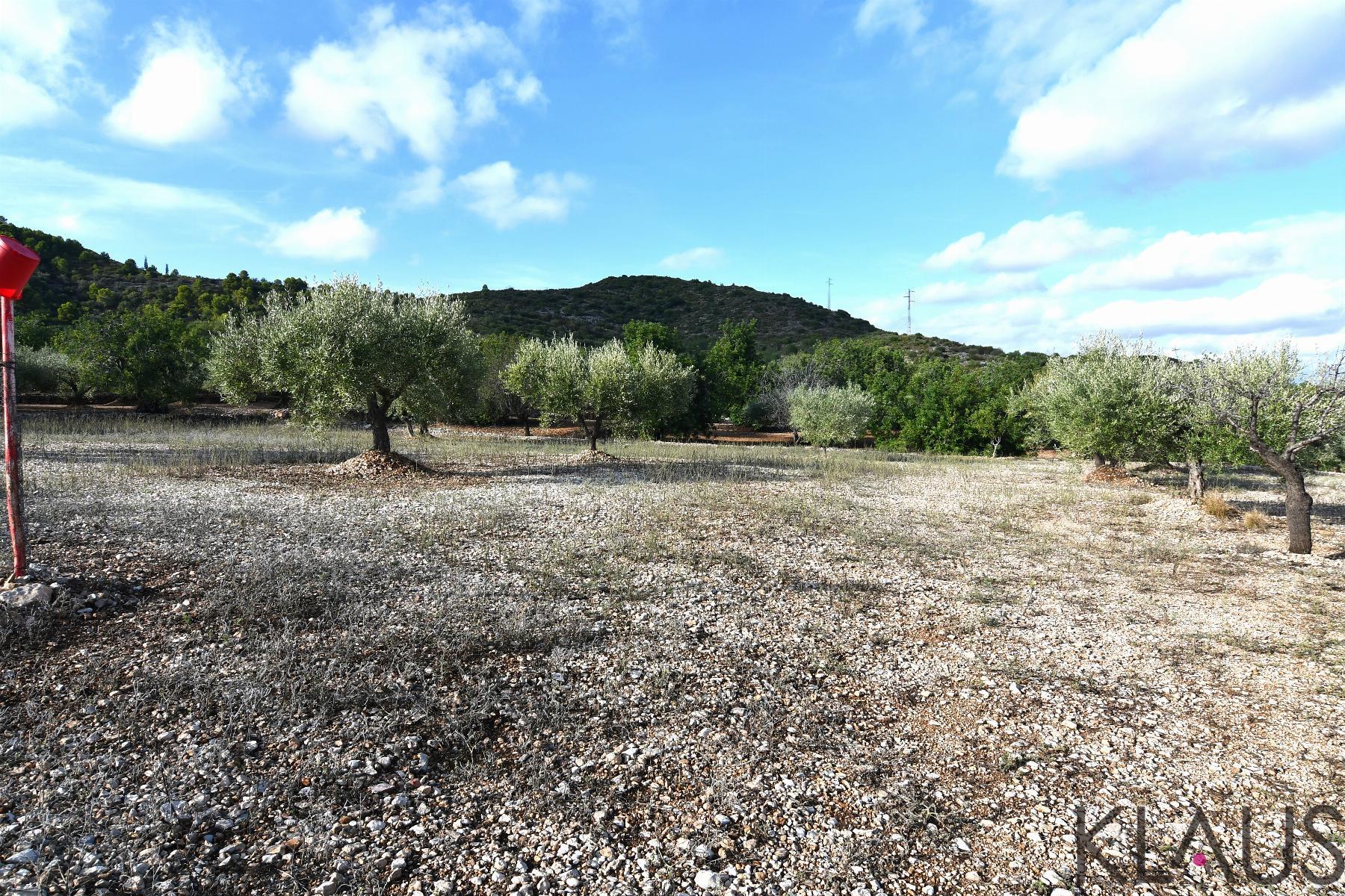 Venta de terreno en Amposta