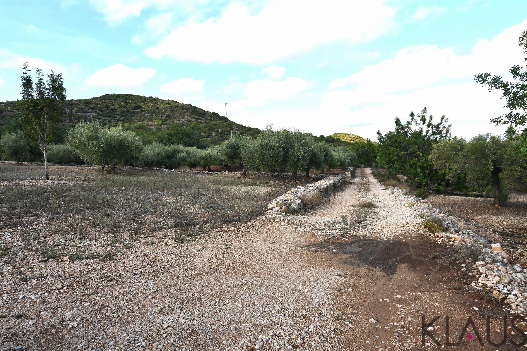 Venta de terreno en Amposta