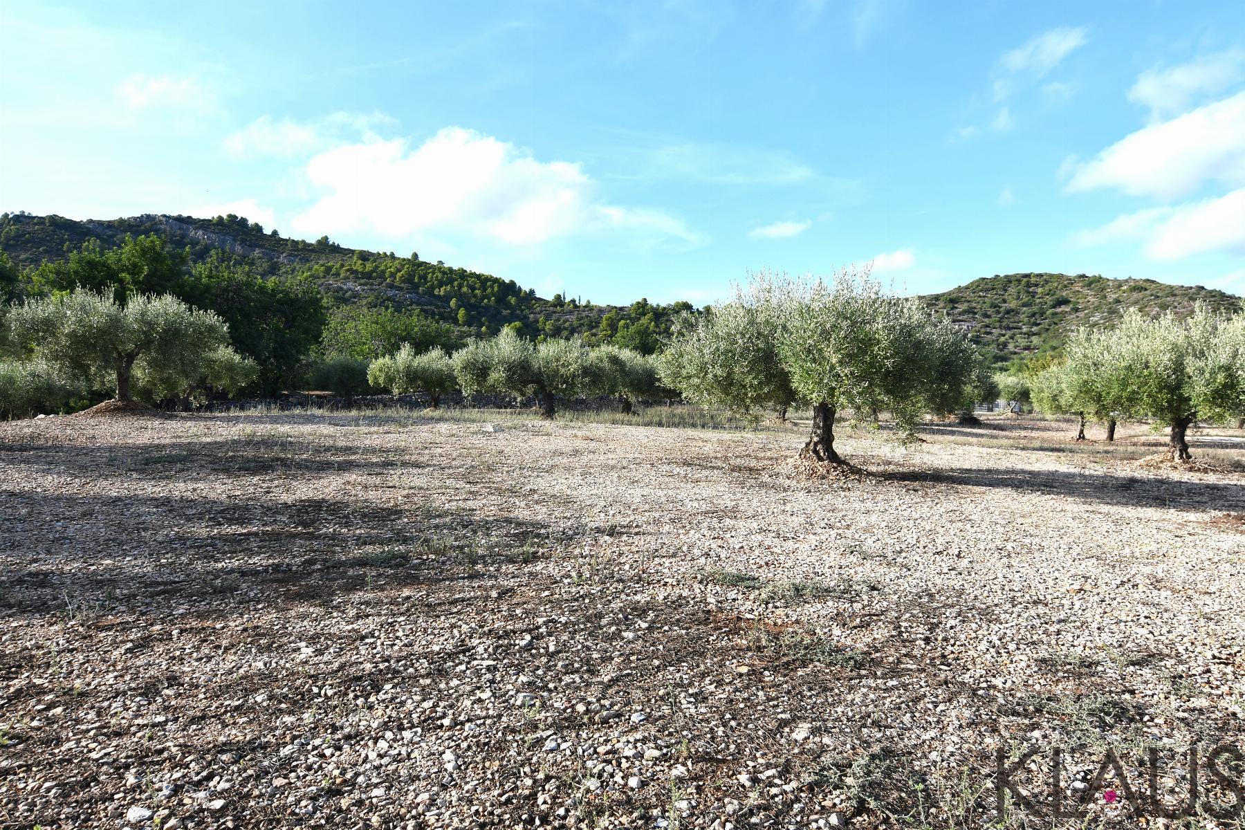 Venta de terreno en Amposta