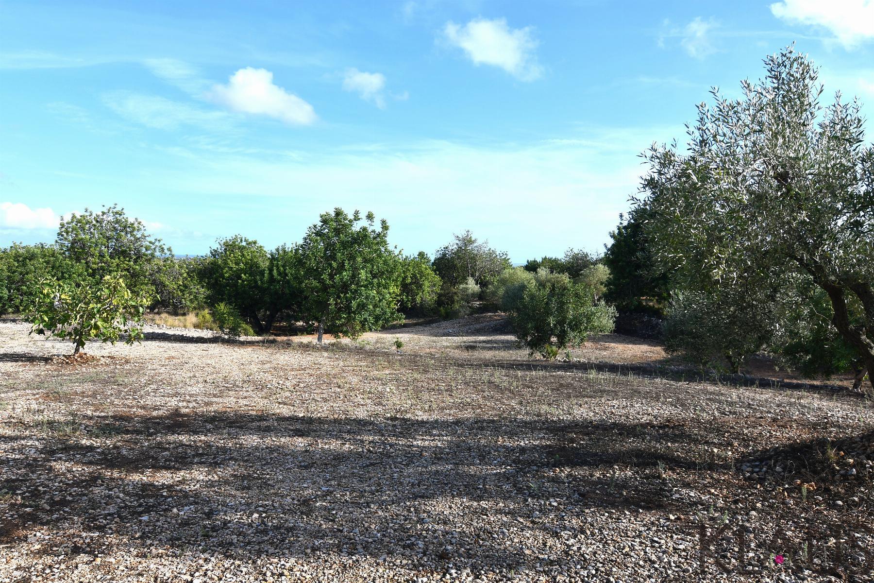 Venta de terreno en Amposta