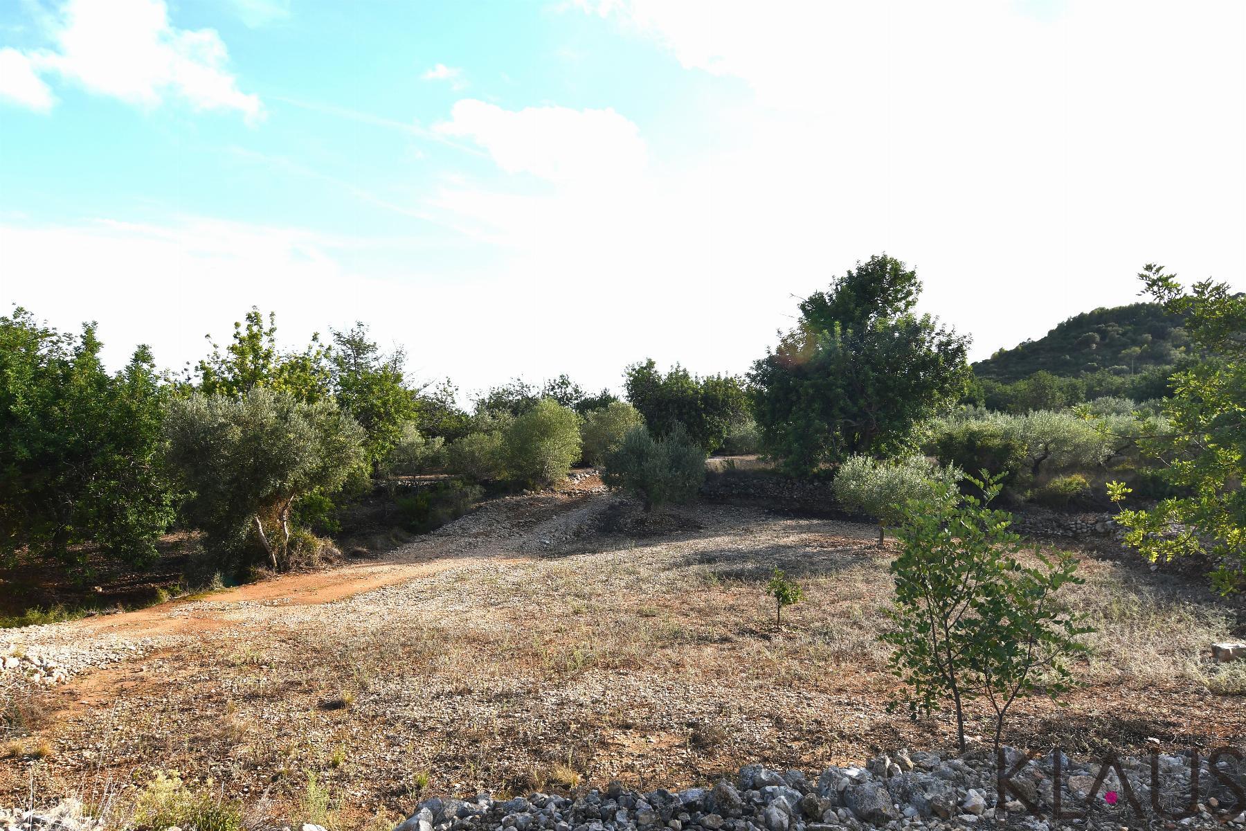 Venta de terreno en Amposta