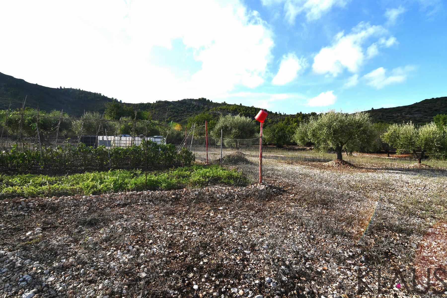 Venta de terreno en Amposta
