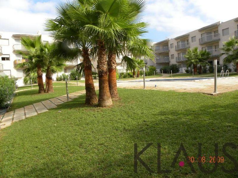 For rent of apartment in Alcanar