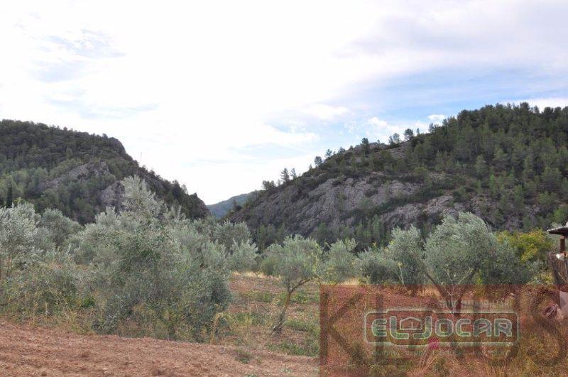 Venda de propriedade rural em Paüls