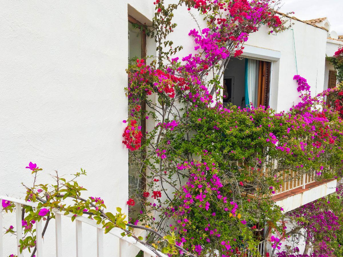 For rent of chalet in Oropesa del Mar