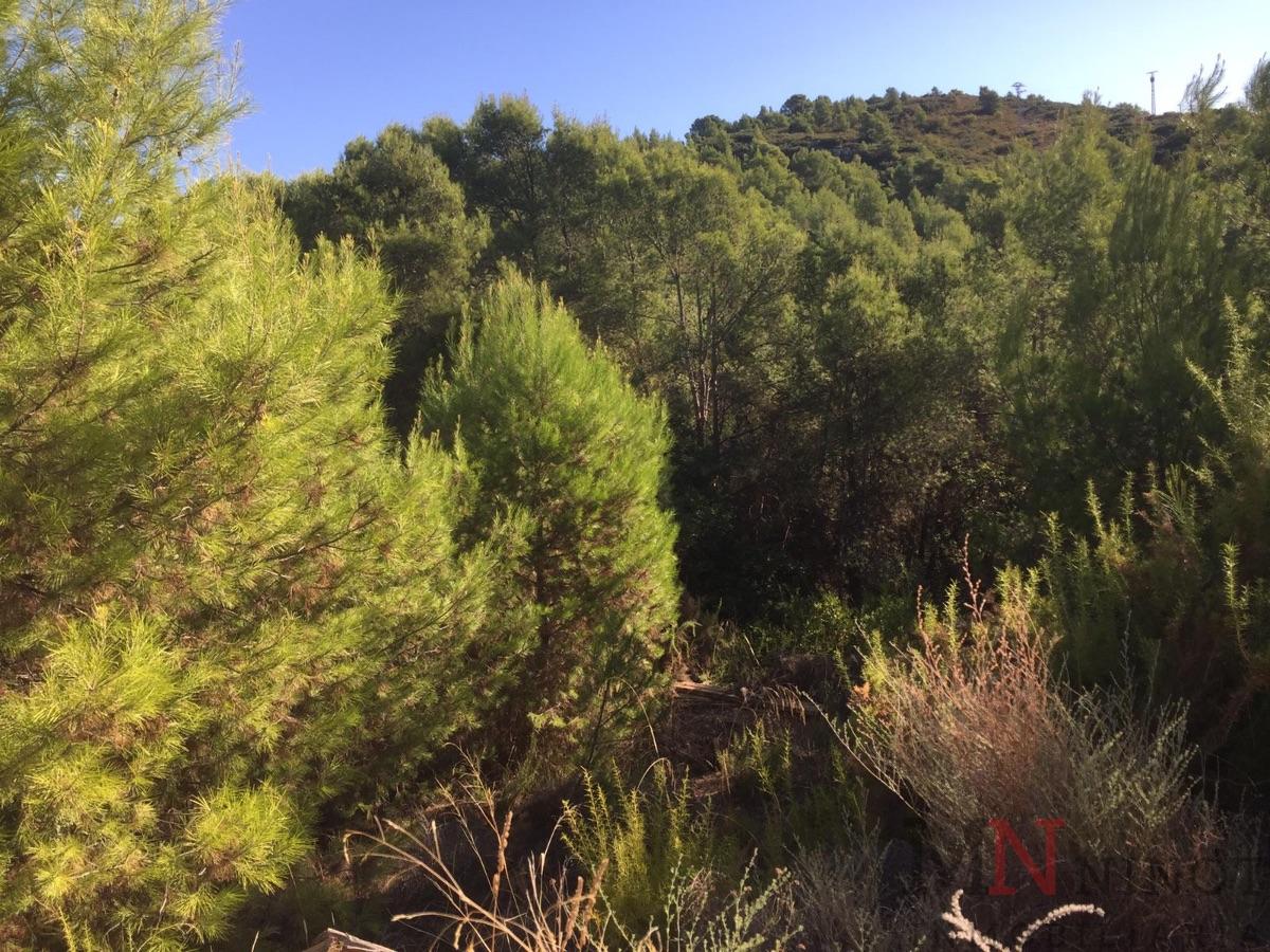 For sale of land in Borriol