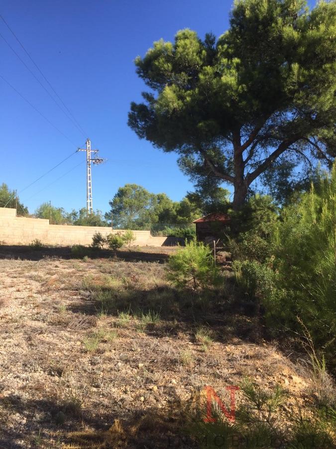 For sale of land in Borriol