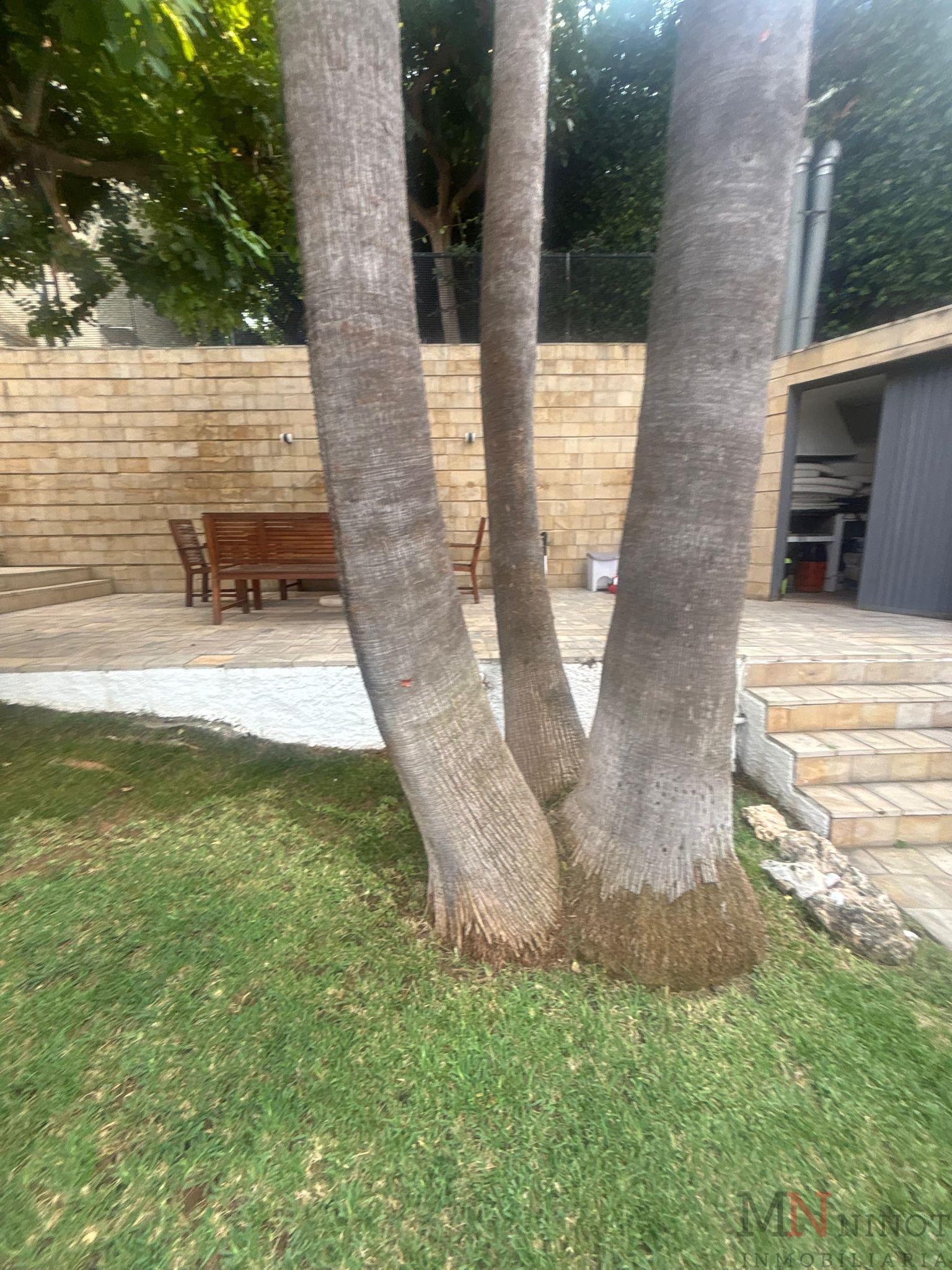 Alquiler de apartamento en Oropesa del Mar