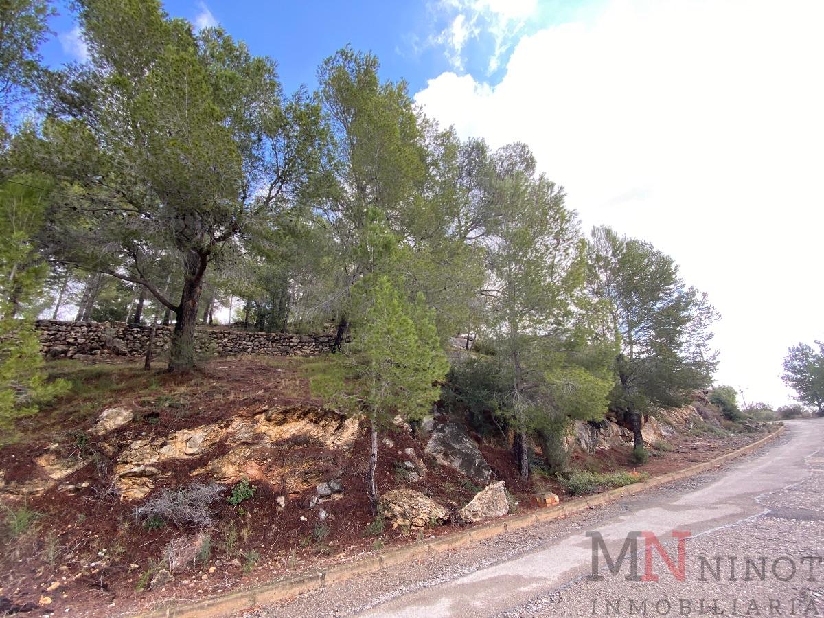 For sale of land in Borriol