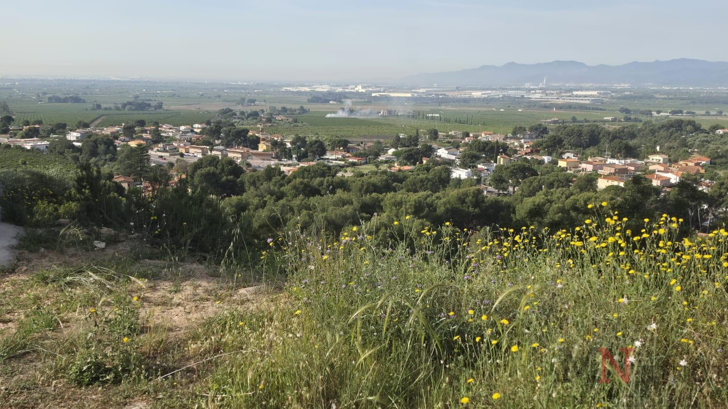 Venta de terreno en Borriol